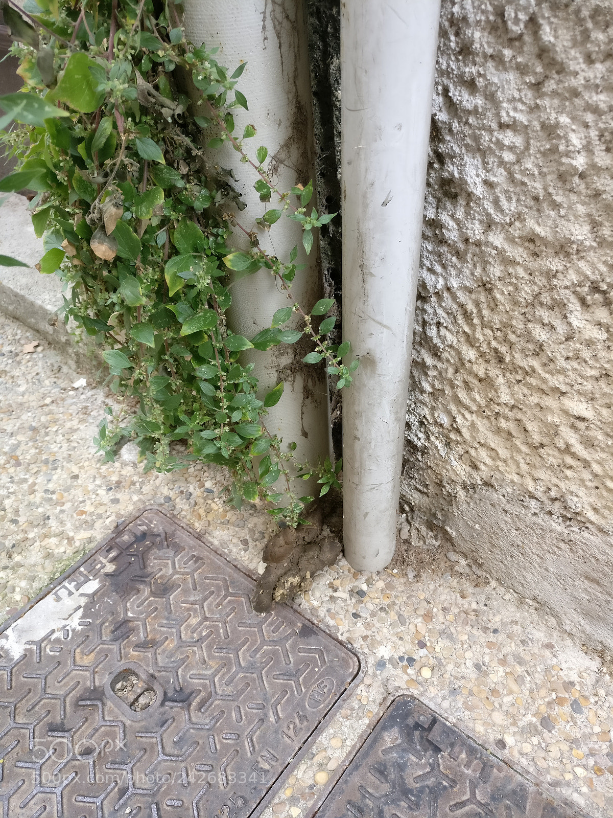 OnePlus A3003 sample photo. Img_20170605_151527.jpg photography