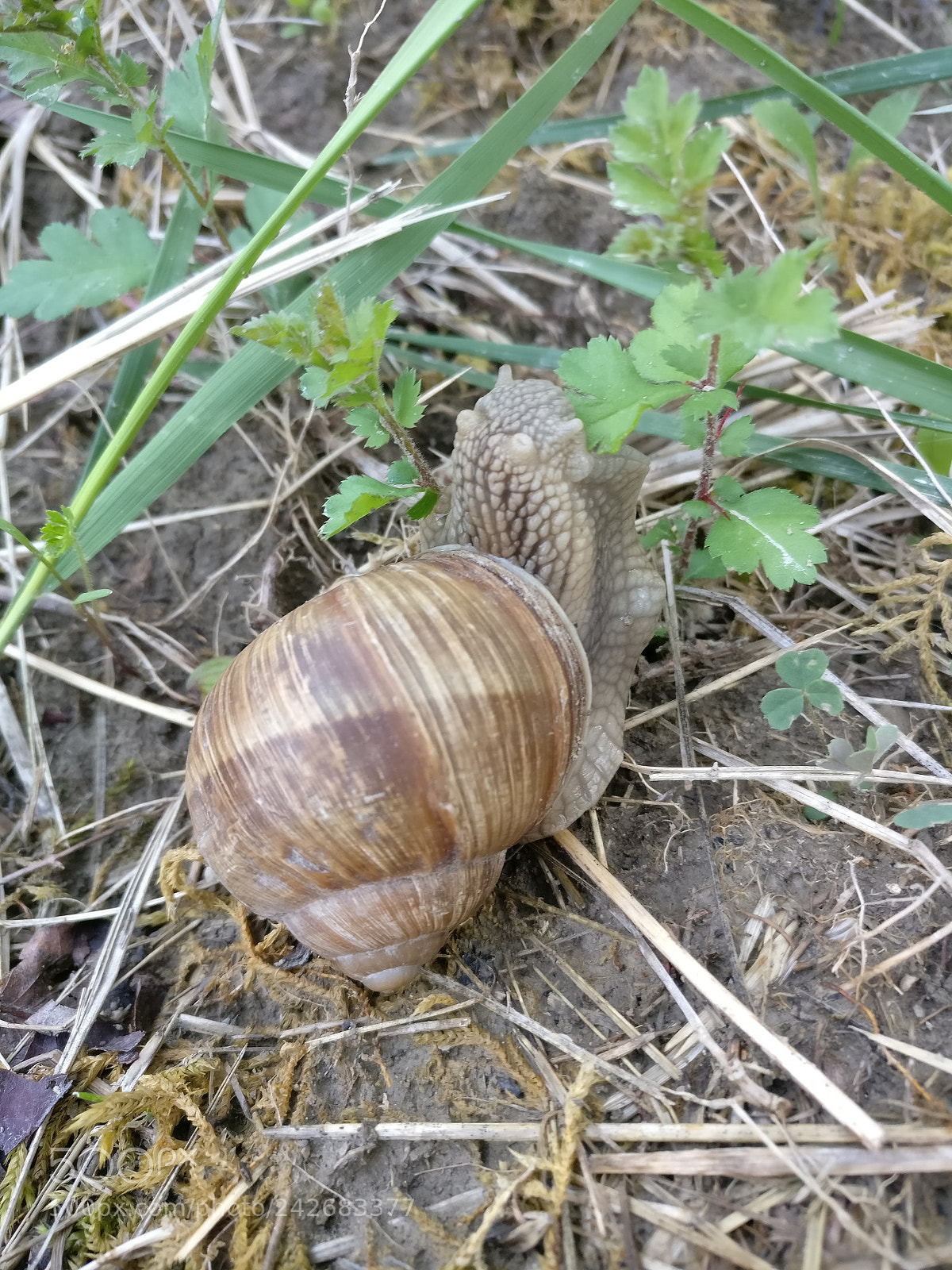 OnePlus A3003 sample photo. Img_20170602_202952.jpg photography