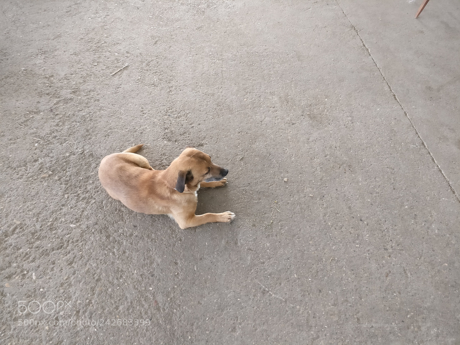 OnePlus A3003 sample photo. Img_20170530_175154.jpg photography
