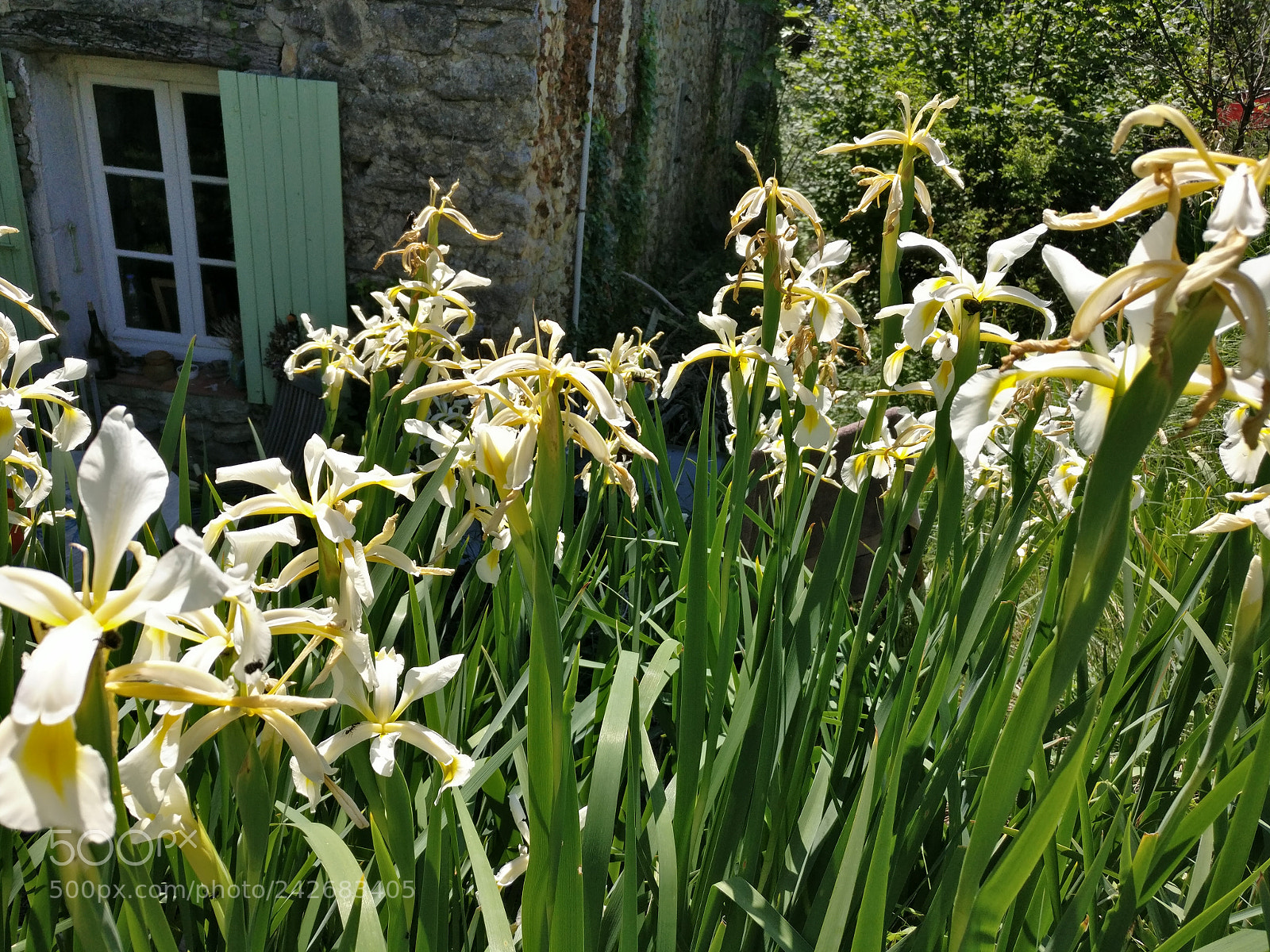 OnePlus A3003 sample photo. Img_20170527_154603.jpg photography