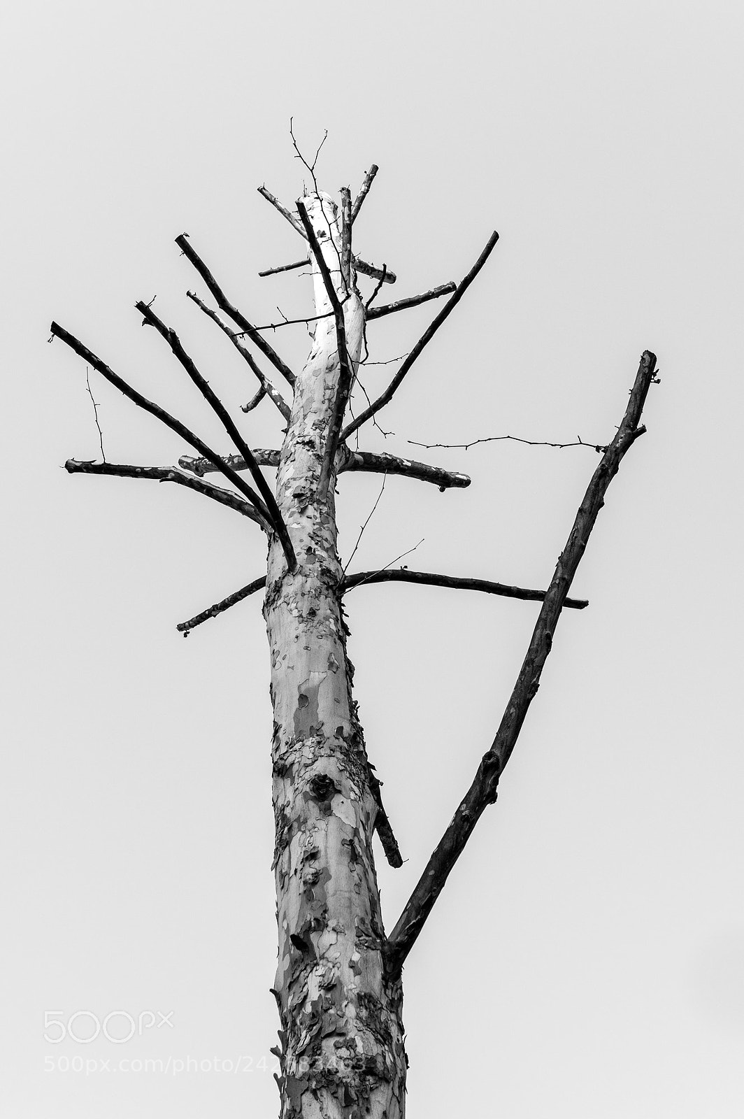 Pentax K-3 sample photo. Coexistence photography