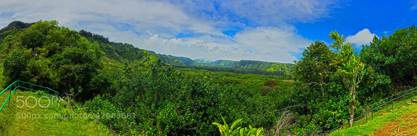 Apple iPhone 6s sample photo. Wailua valley photography