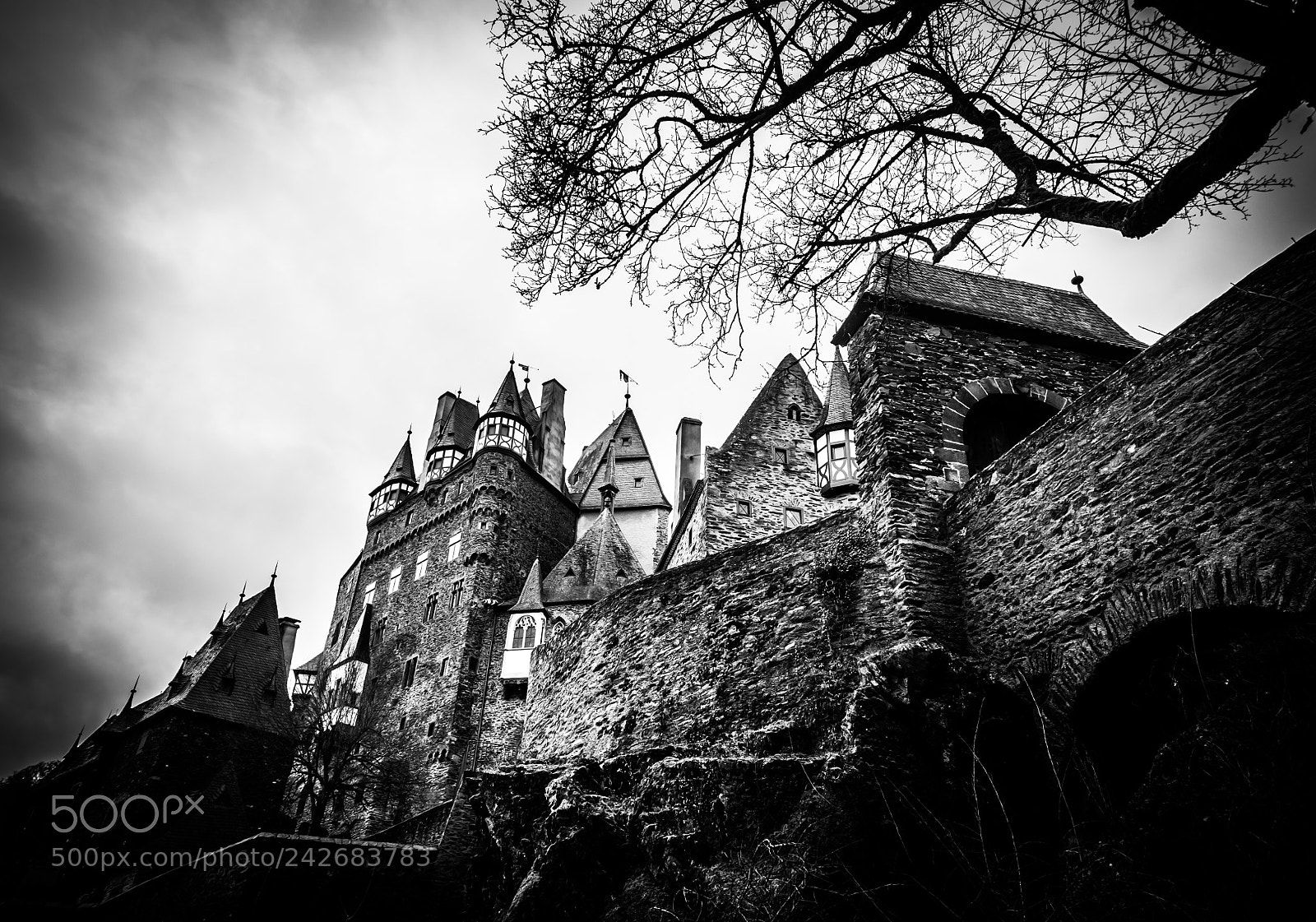 Sony SLT-A58 sample photo. Eltz photography