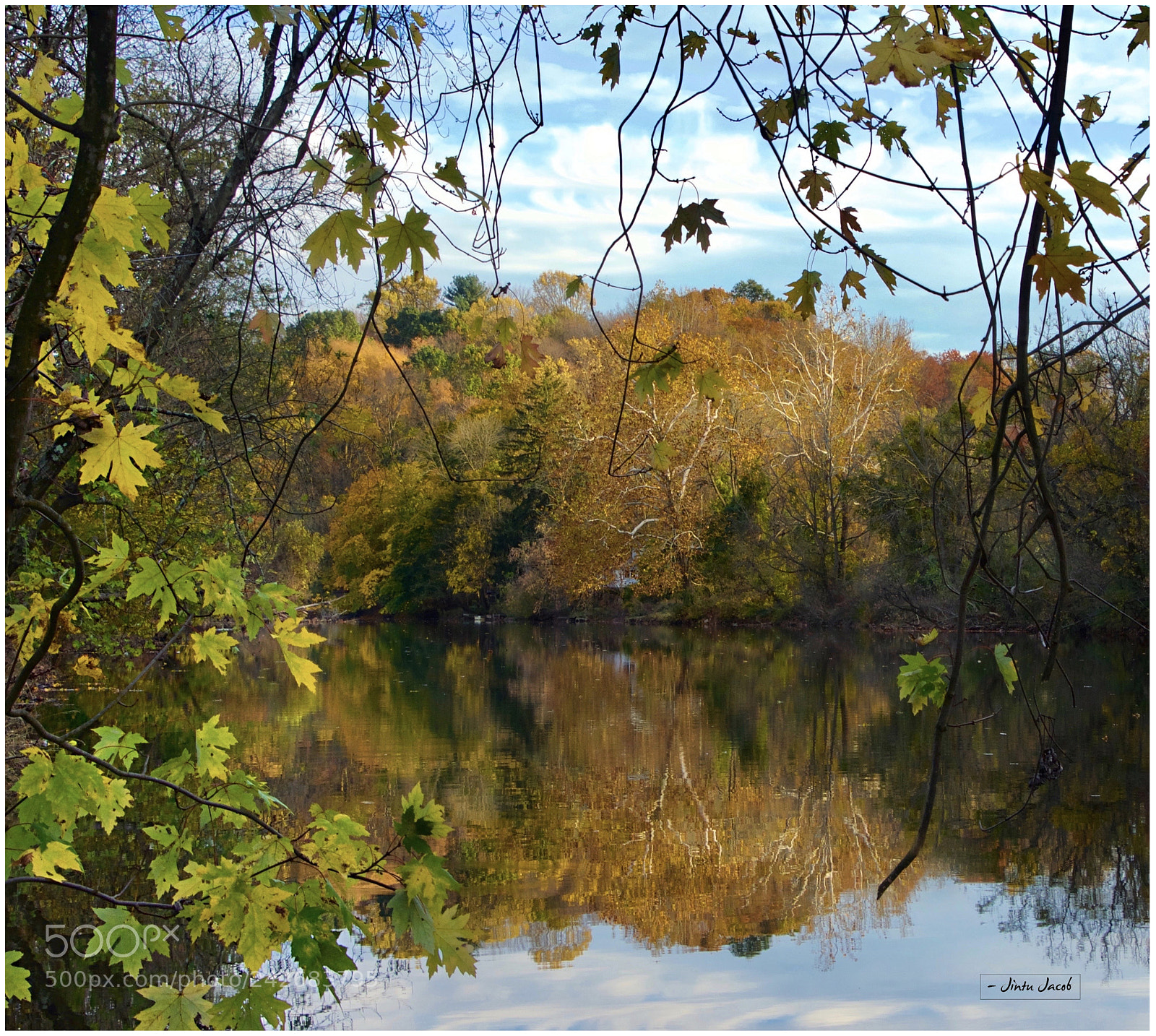 Nikon D5100 sample photo. Fall colors photography