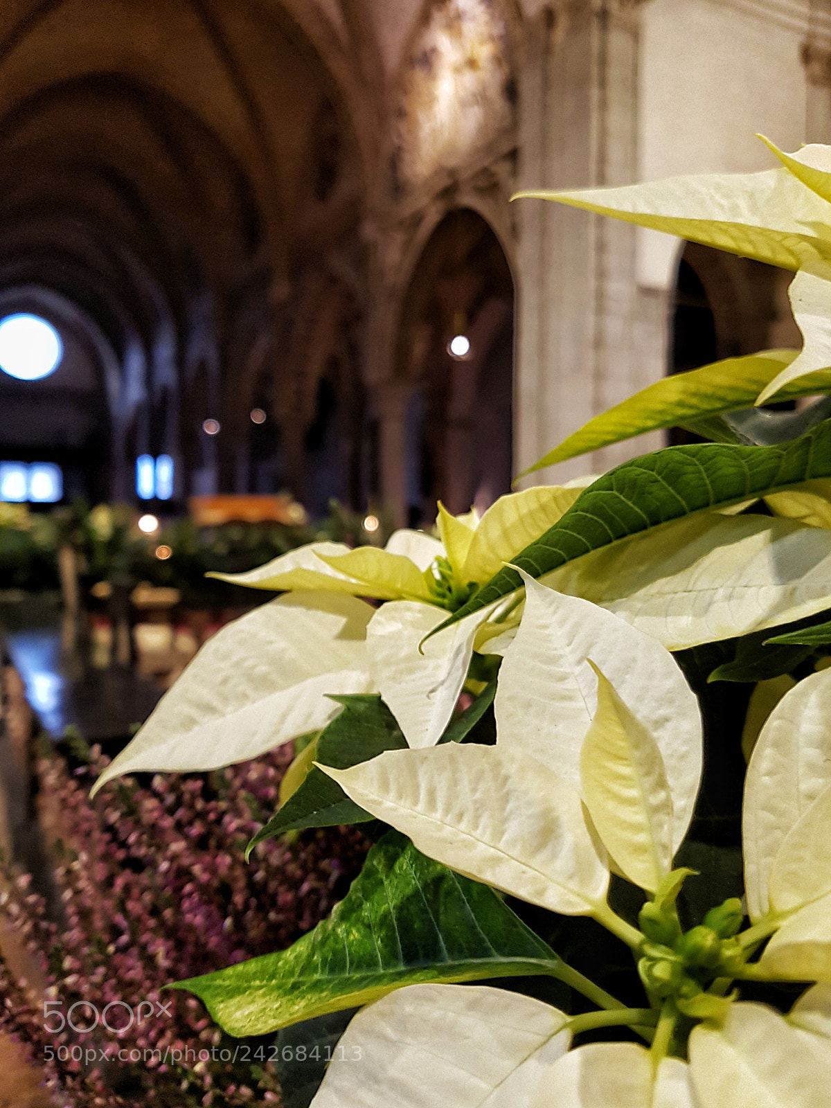 Samsung Galaxy S7 Edge sample photo. Santa maria delle grazie photography