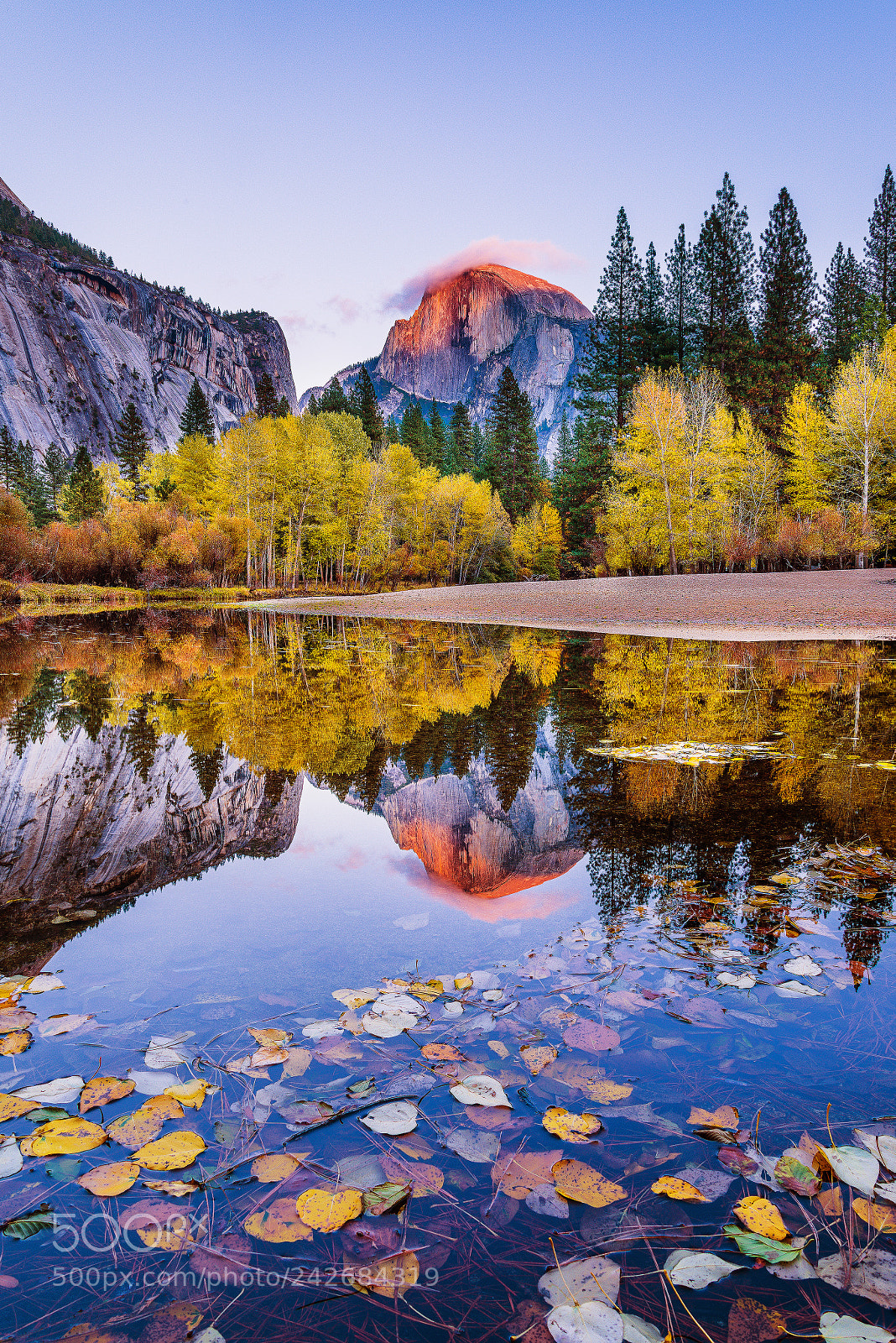 Nikon D800E sample photo. Halfdome fall reflection ynp photography