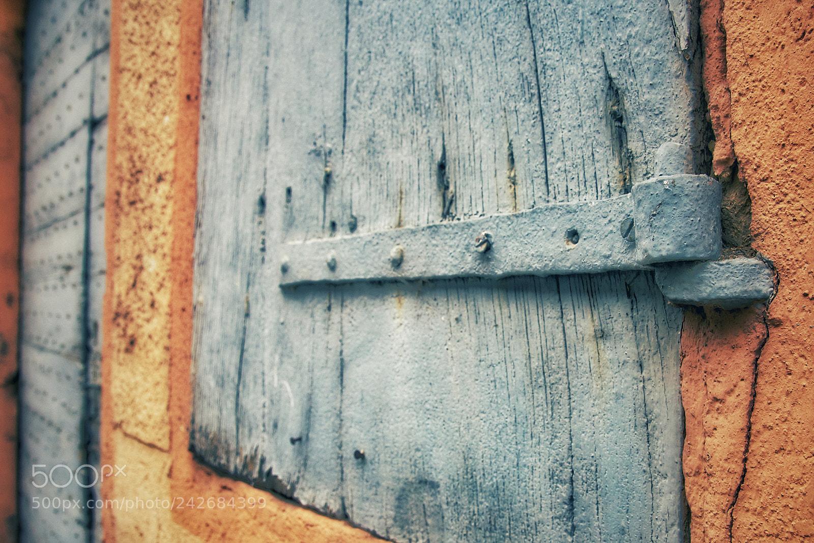Sony ILCA-77M2 sample photo. Going strong photography