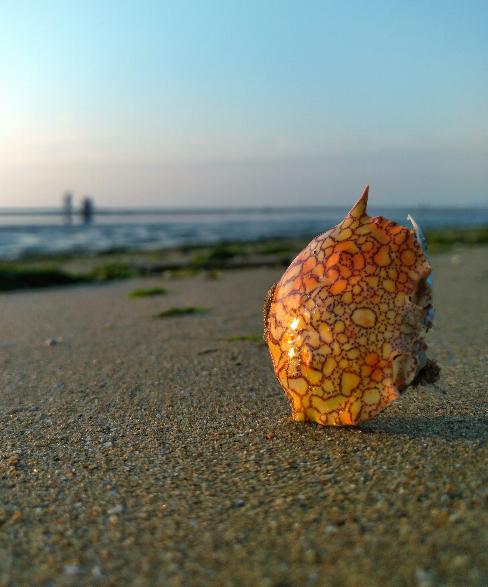 nubia Z11 MINI sample photo