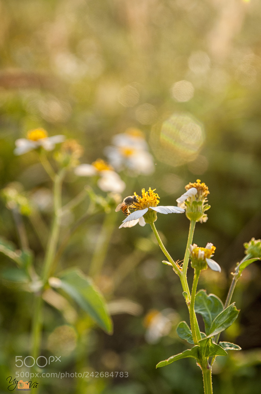 Nikon D90 sample photo. Sunlight photography