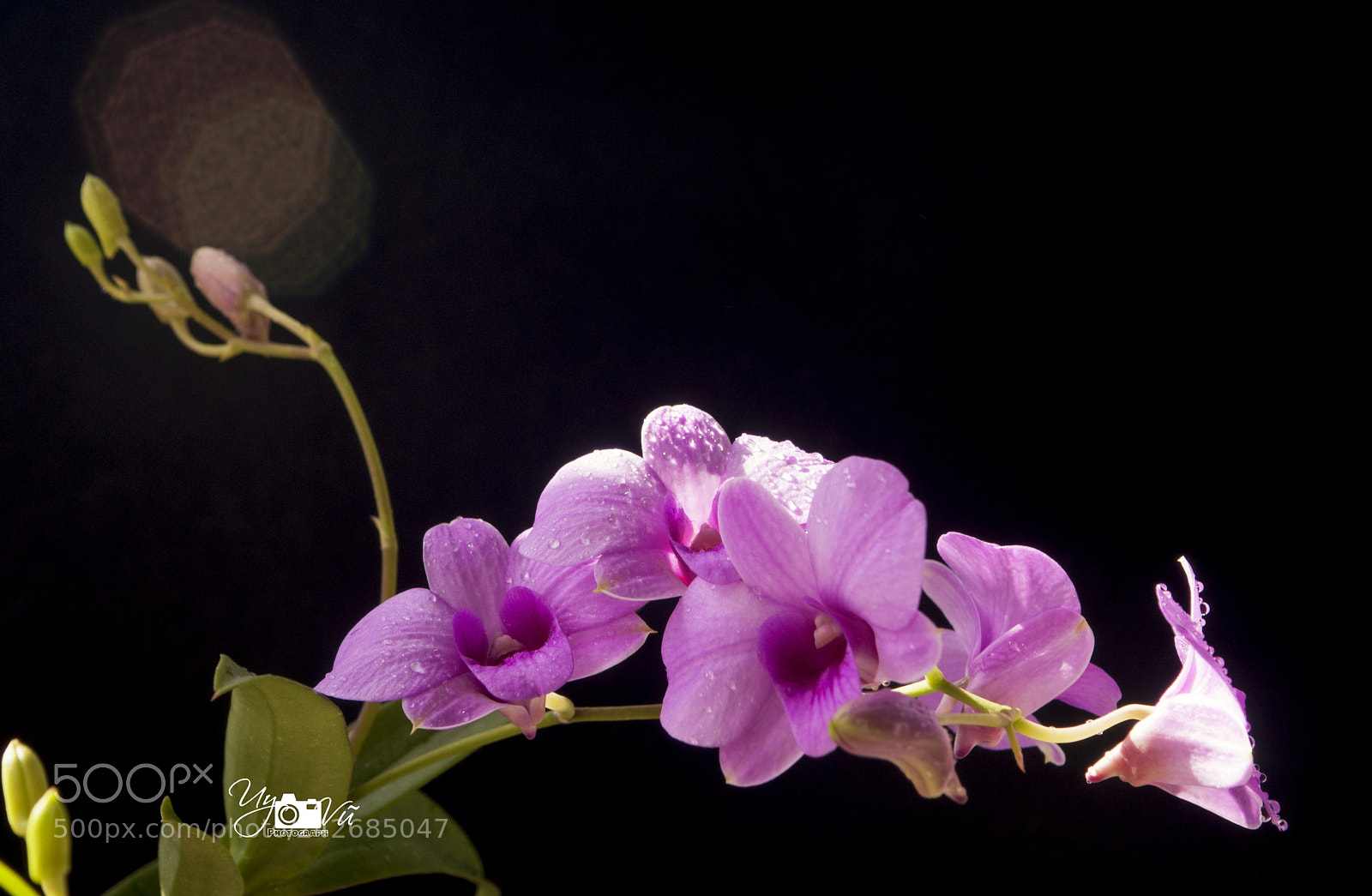 Nikon D90 sample photo. Dentro photography