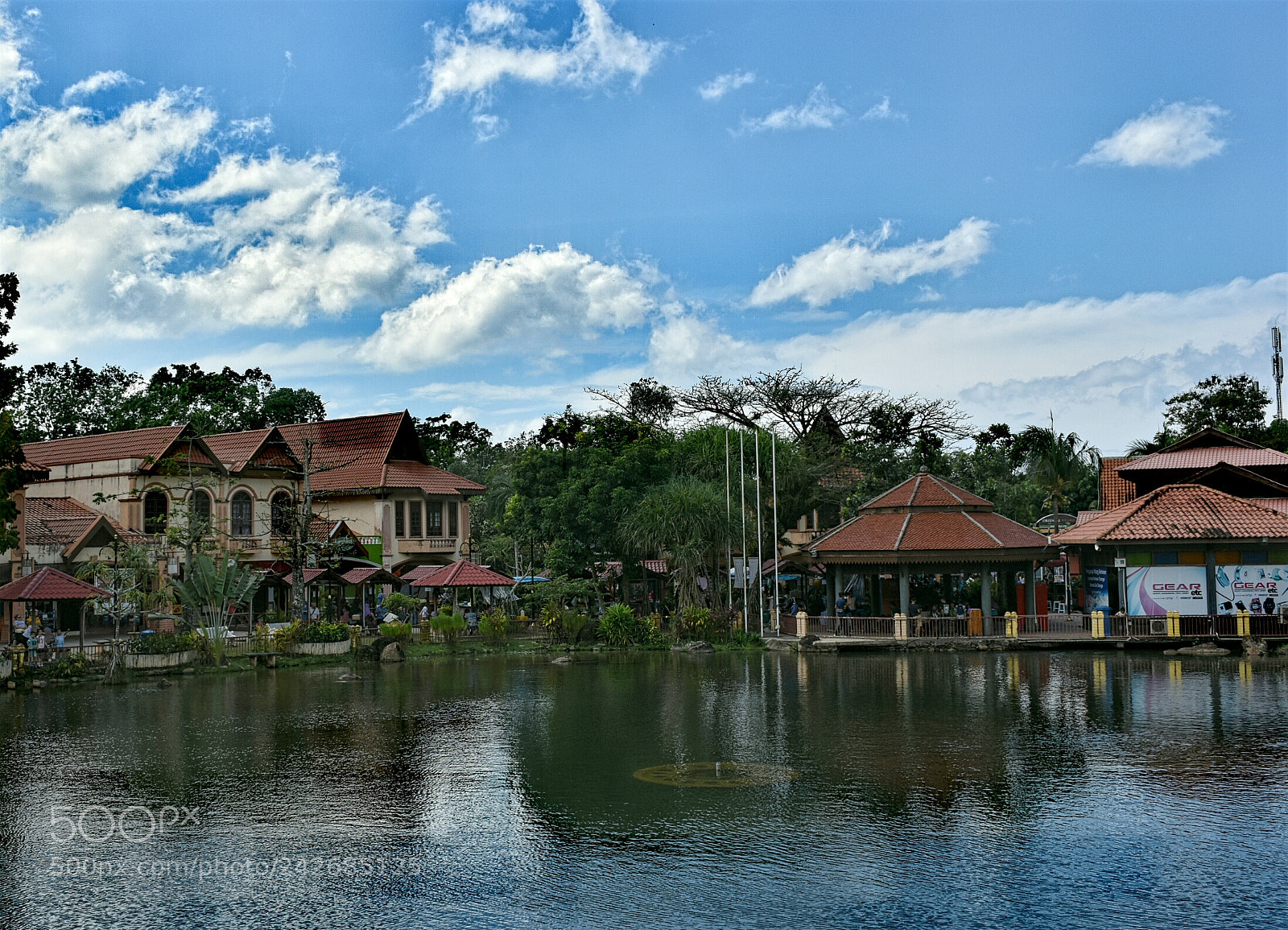 Nikon D5600 sample photo. Untitled photography
