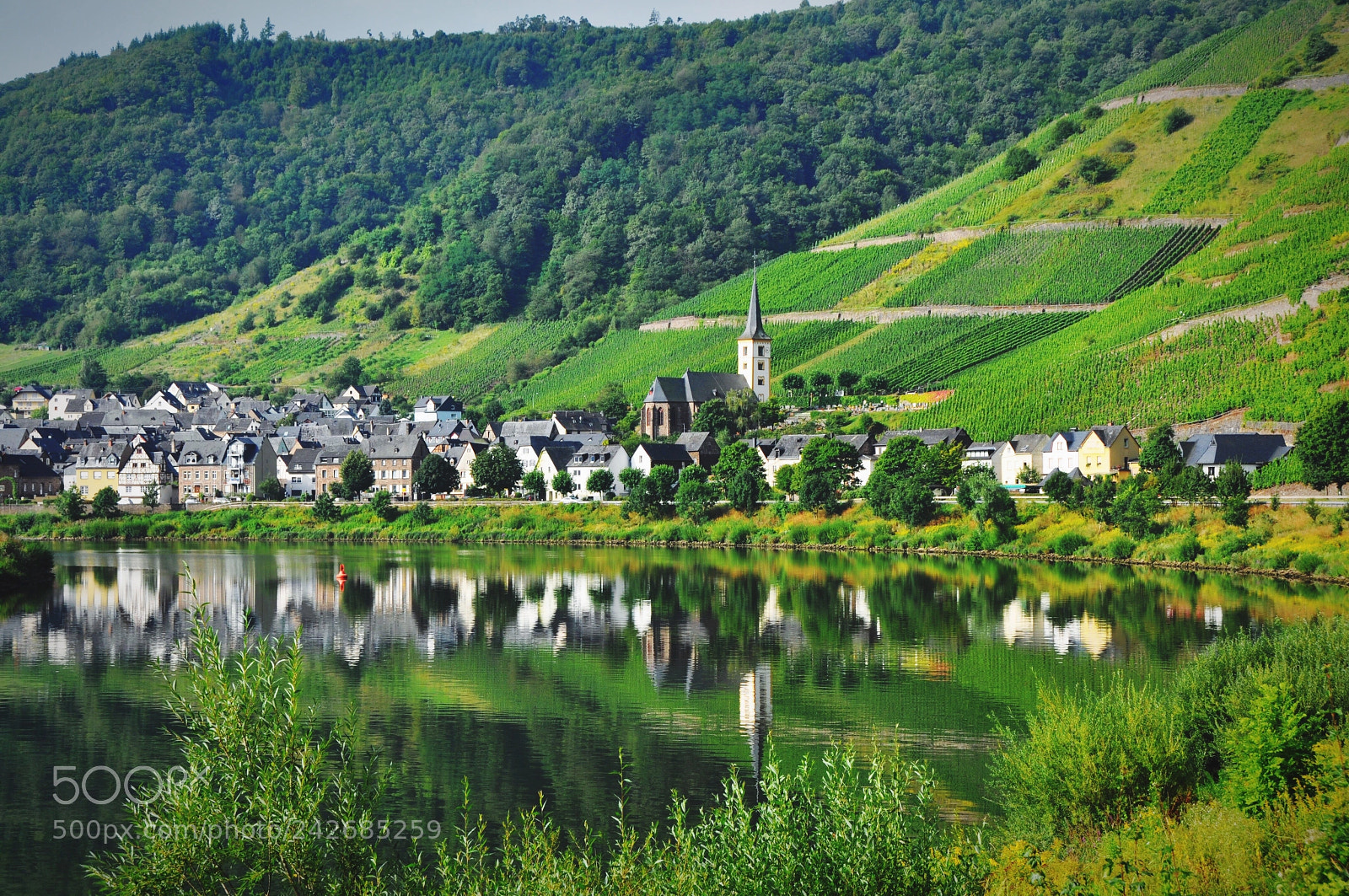 Nikon D90 sample photo. Small village on mosel photography