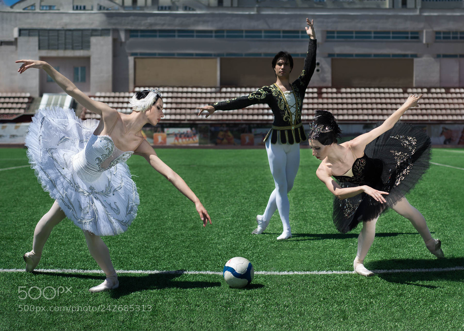 Nikon D610 sample photo. The swanball photography