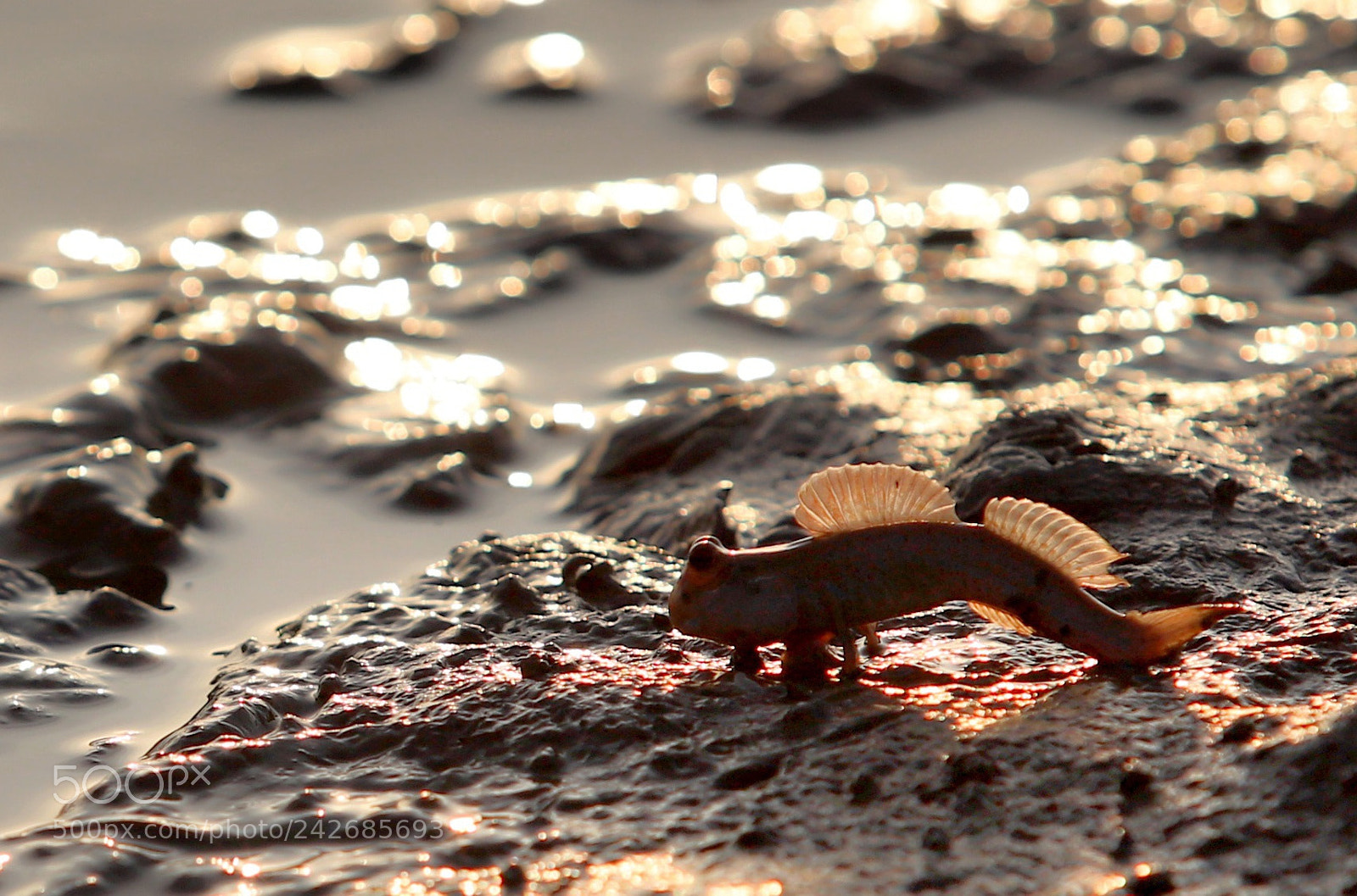 Canon EOS 6D Mark II sample photo. Untitled photography