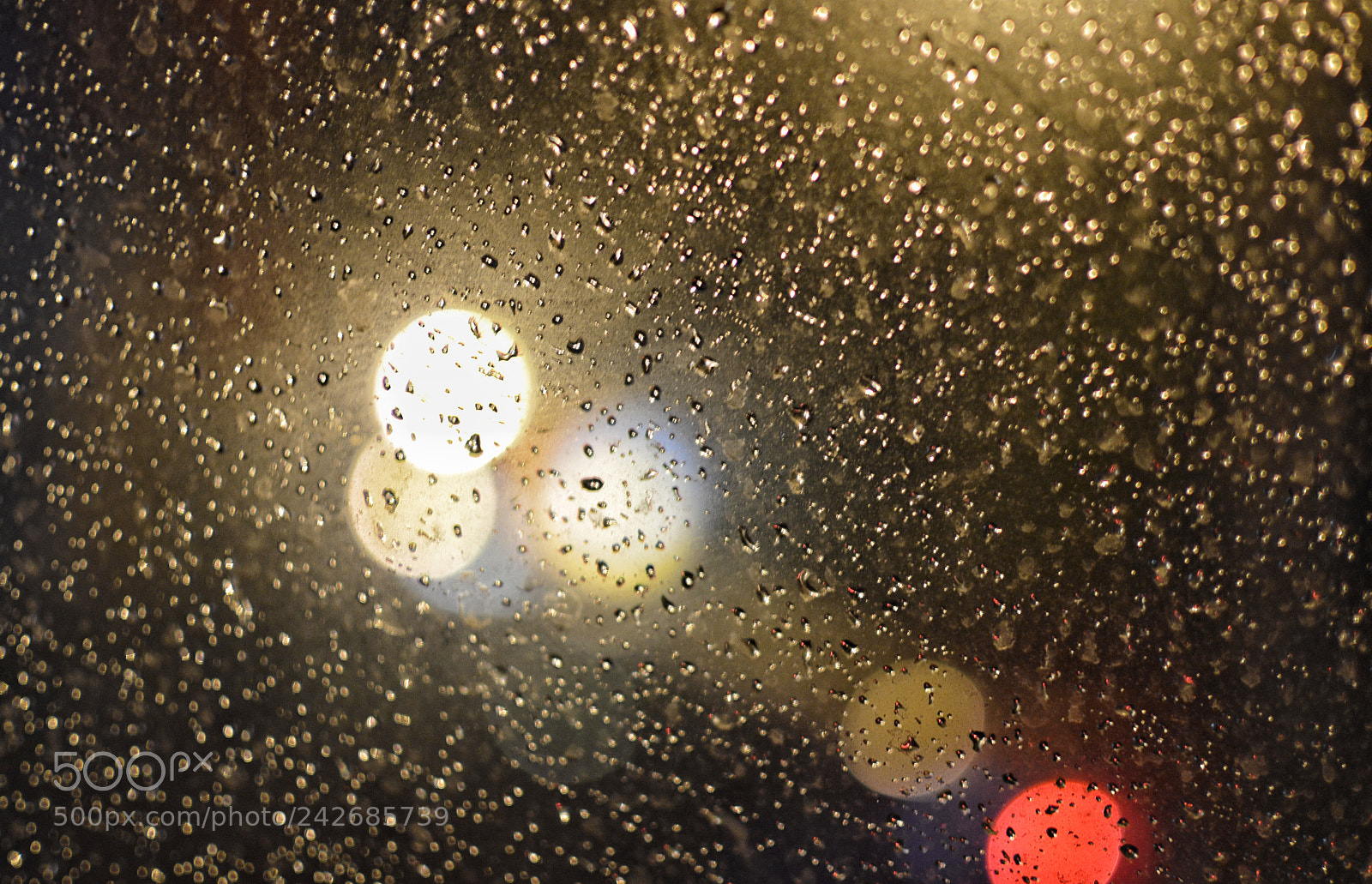 Nikon D3200 sample photo. Untitled photography