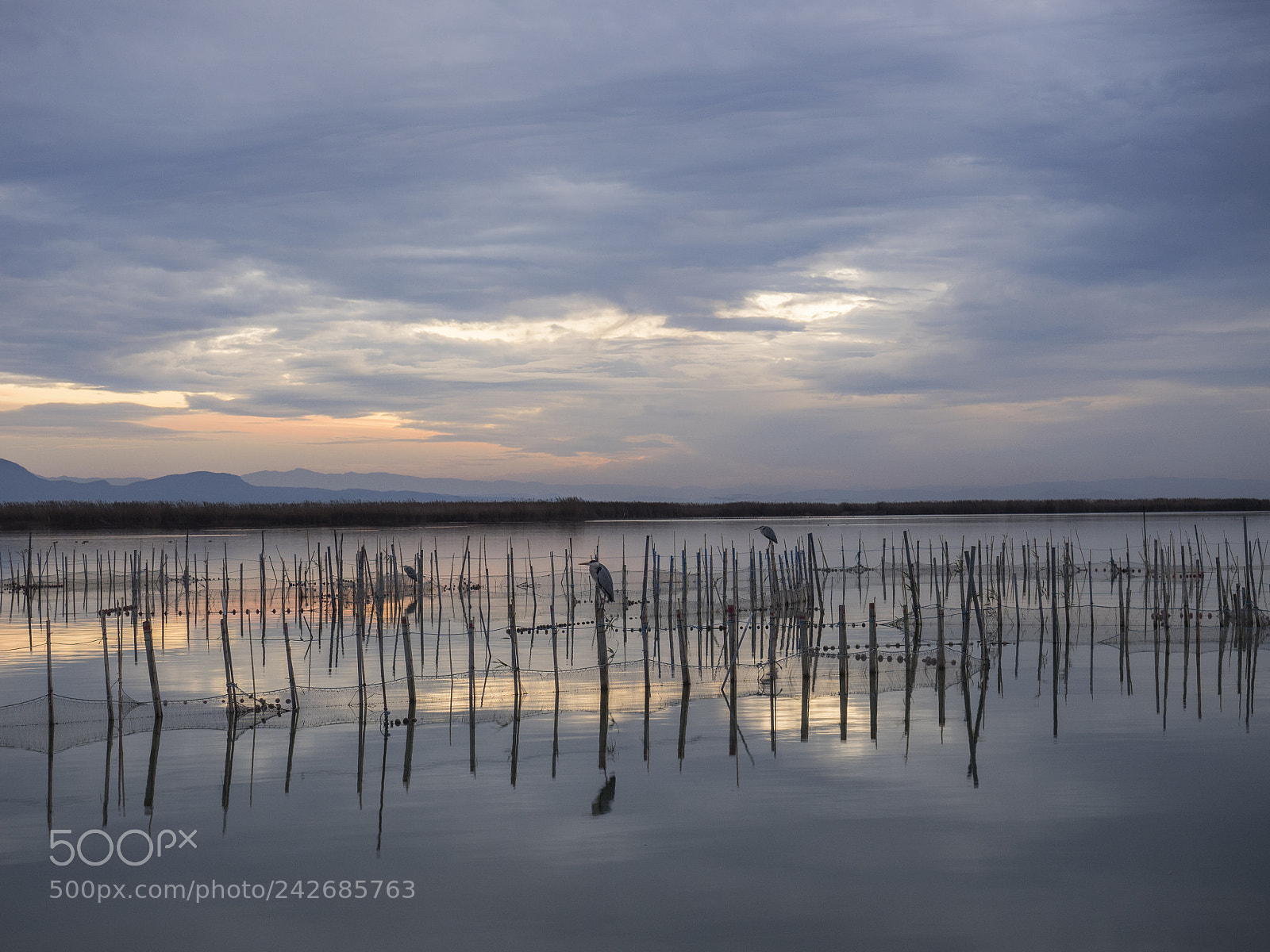 Olympus OM-D E-M1 sample photo. Nightfall in the lagoon. photography