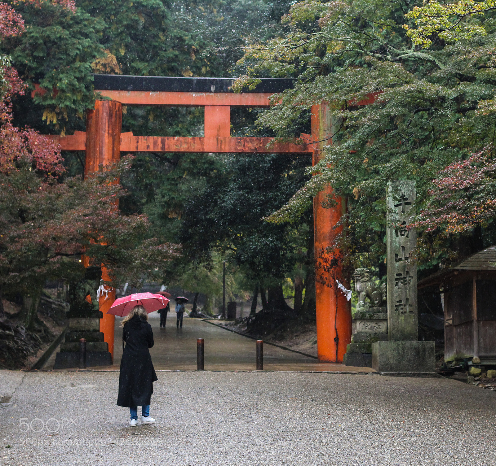 Canon EOS 1200D (EOS Rebel T5 / EOS Kiss X70 / EOS Hi) sample photo. Todai-ji photography
