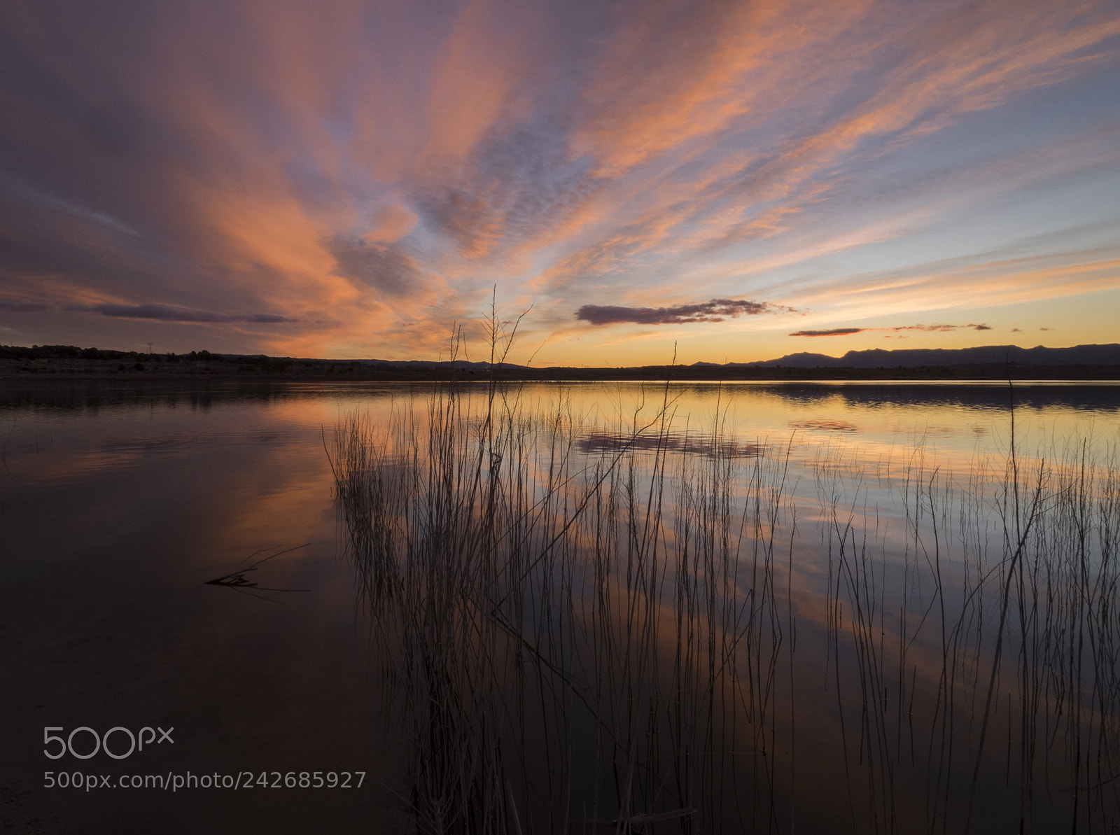 Olympus OM-D E-M1 sample photo. Dawn in the swamp. photography
