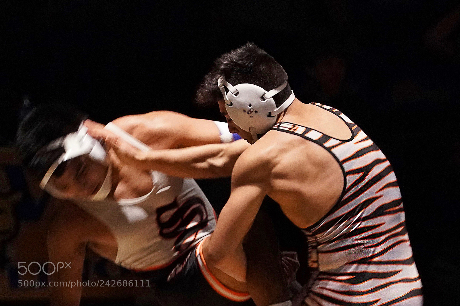 Sony a9 sample photo. Sidewinder photography