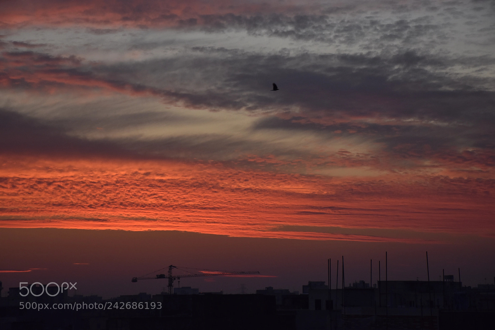 Nikon D7200 sample photo. Amazimg sunset photography