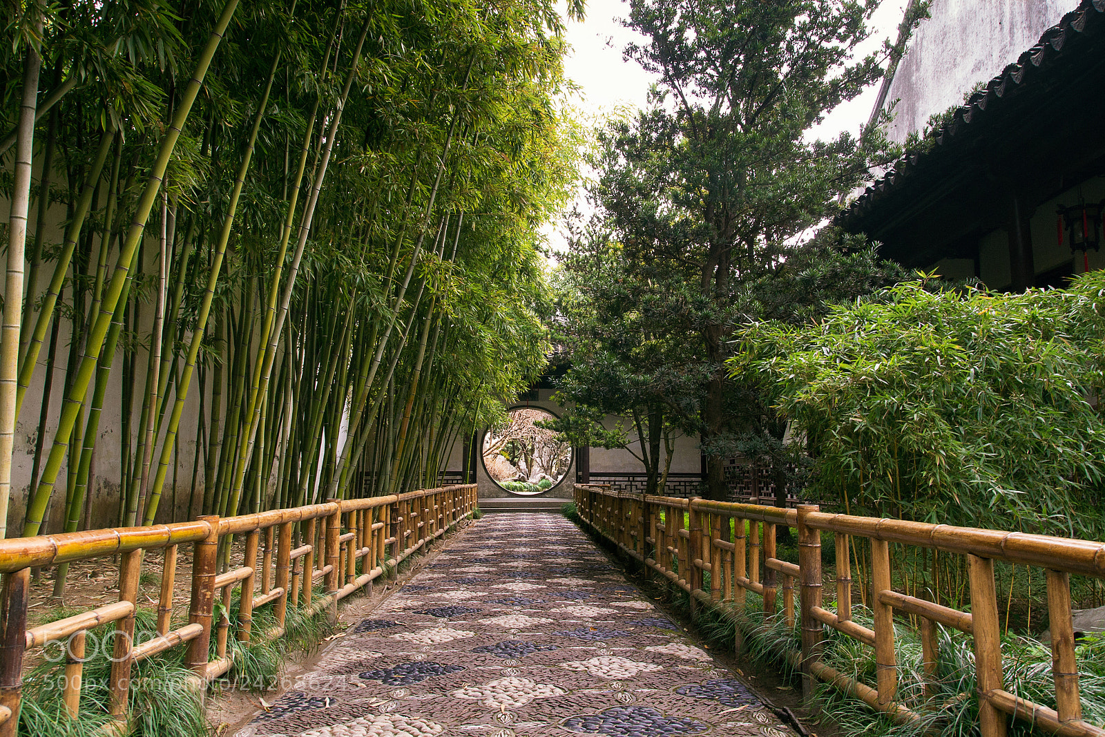 Nikon D3100 sample photo. Mmexport photography