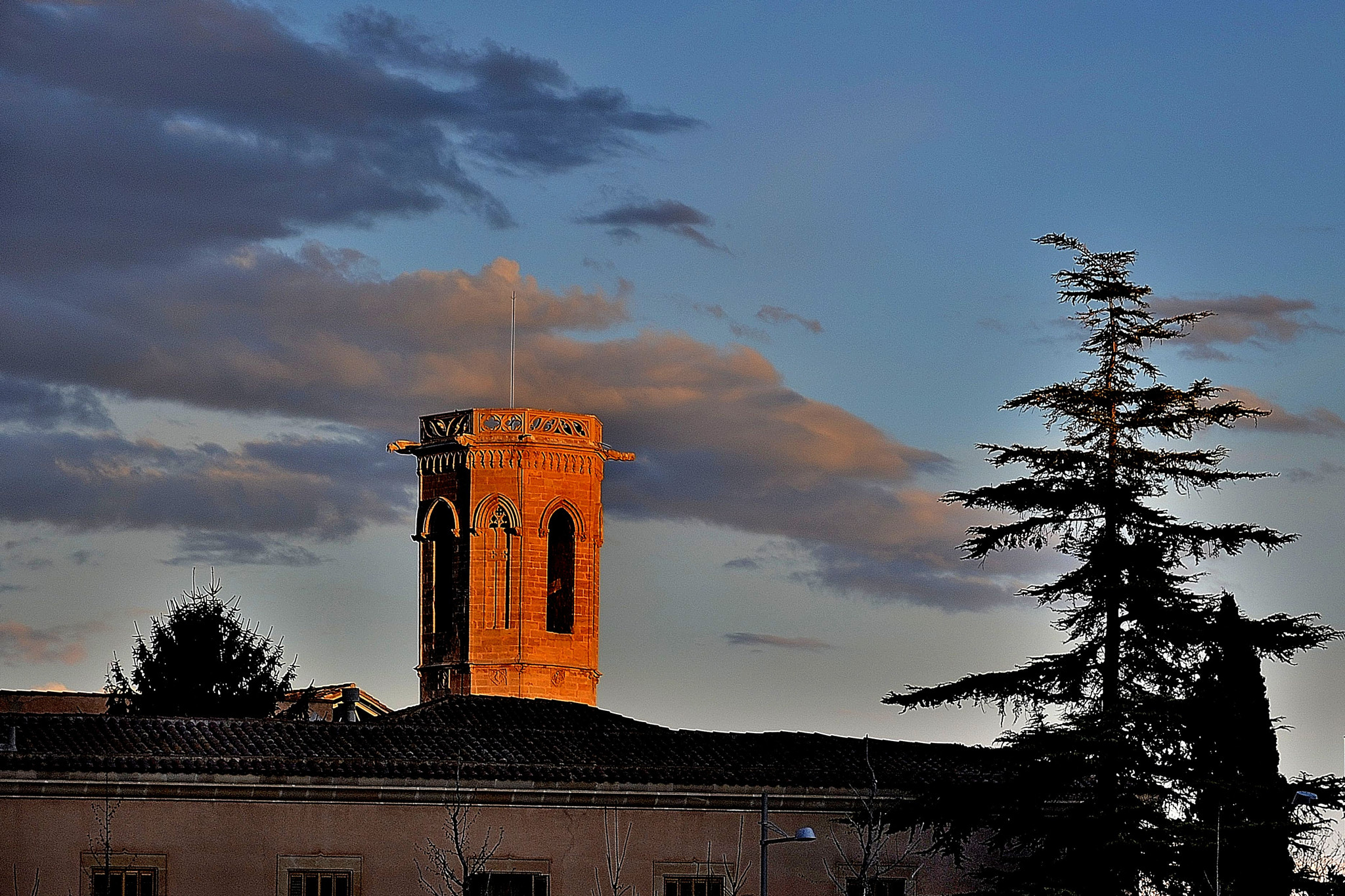 Nikon D3100 sample photo. Cap al tard. photography