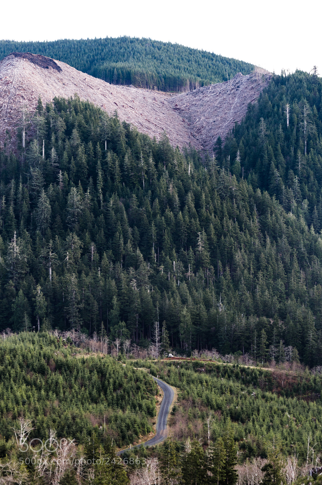 Nikon D3200 sample photo. There's nothing like driving photography