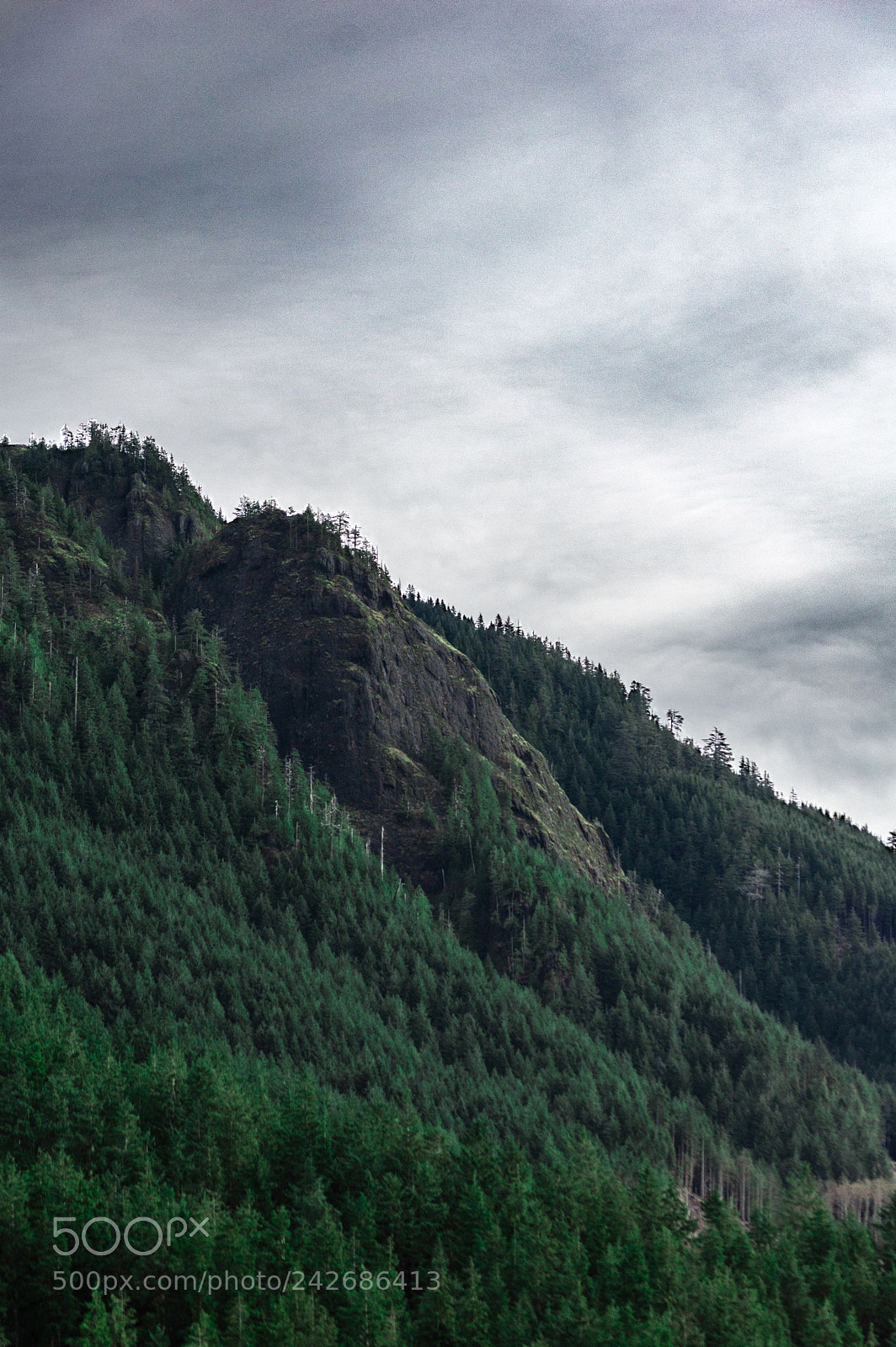 Nikon D3200 sample photo. Angora peak is feeling photography