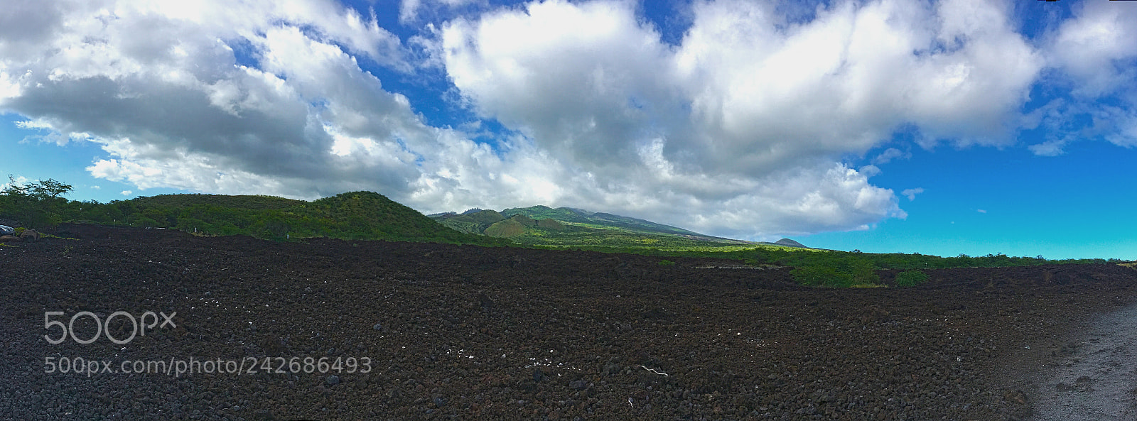 Apple iPhone 6s sample photo. La perouse uphill photography