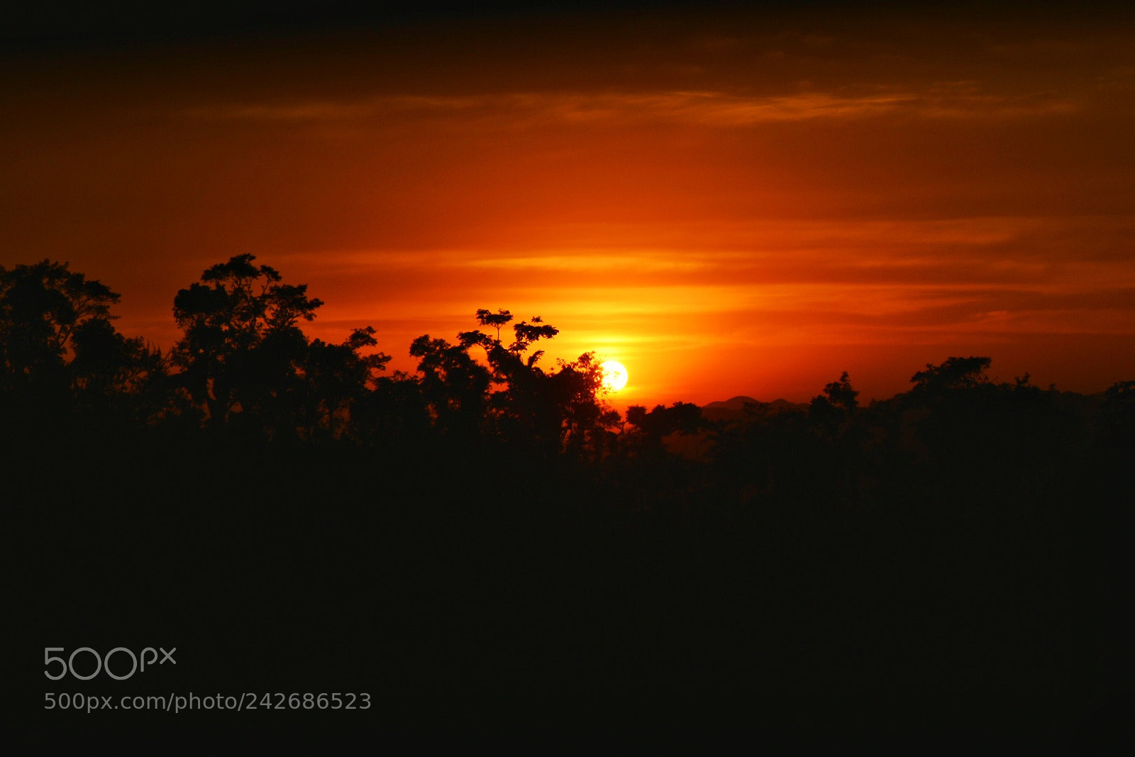 Nikon D3400 sample photo. Sunset in a jungle photography