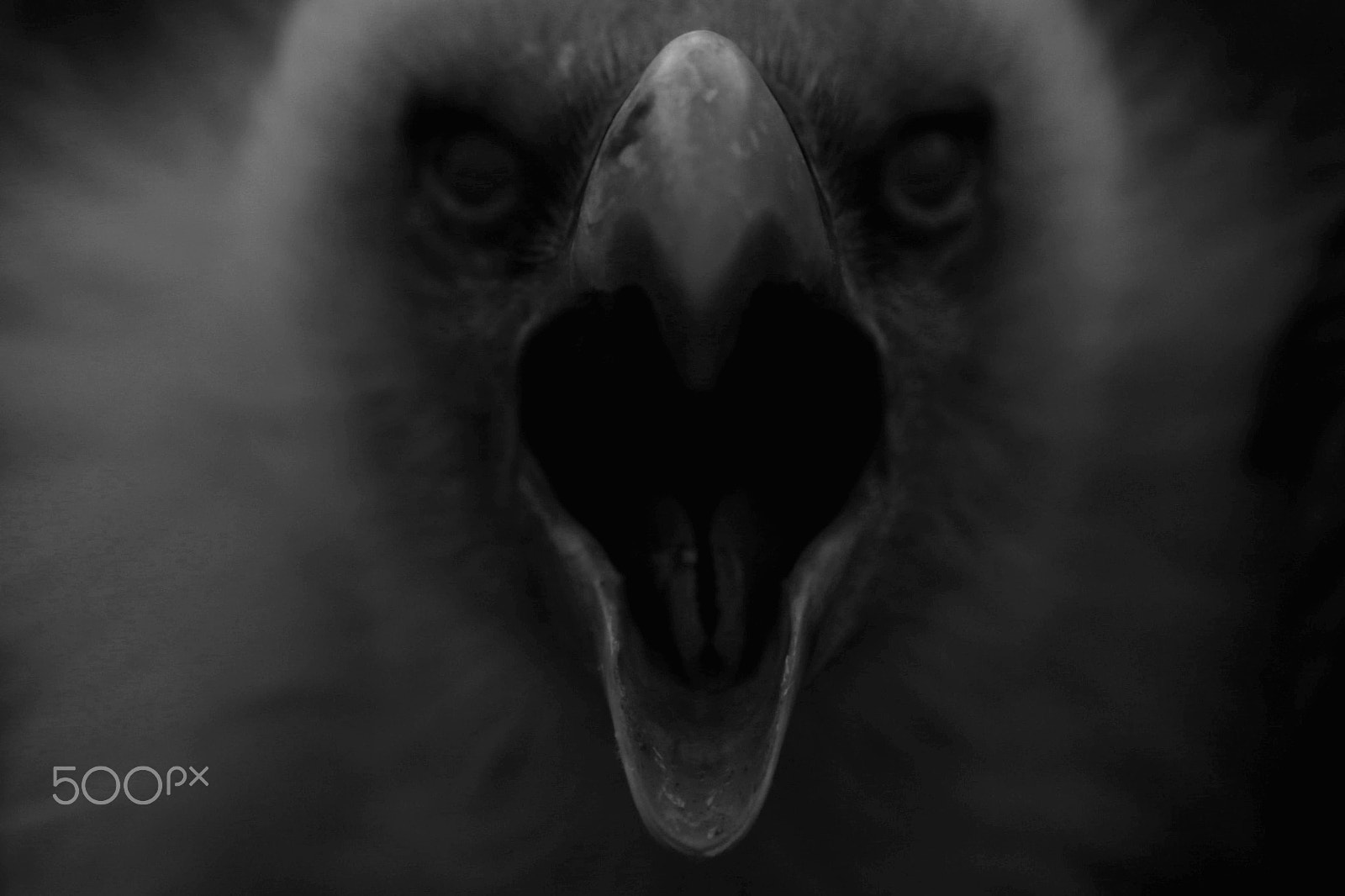 Canon EOS-1D X sample photo. Scary end photography