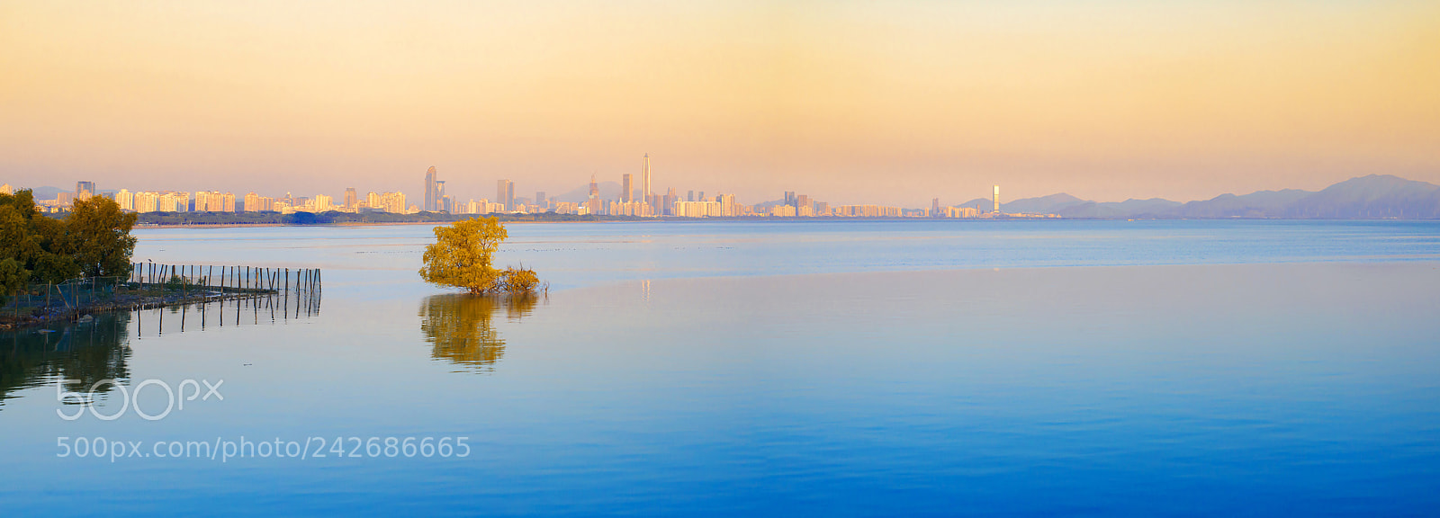 Nikon D610 sample photo. 深圳湾-3 photography