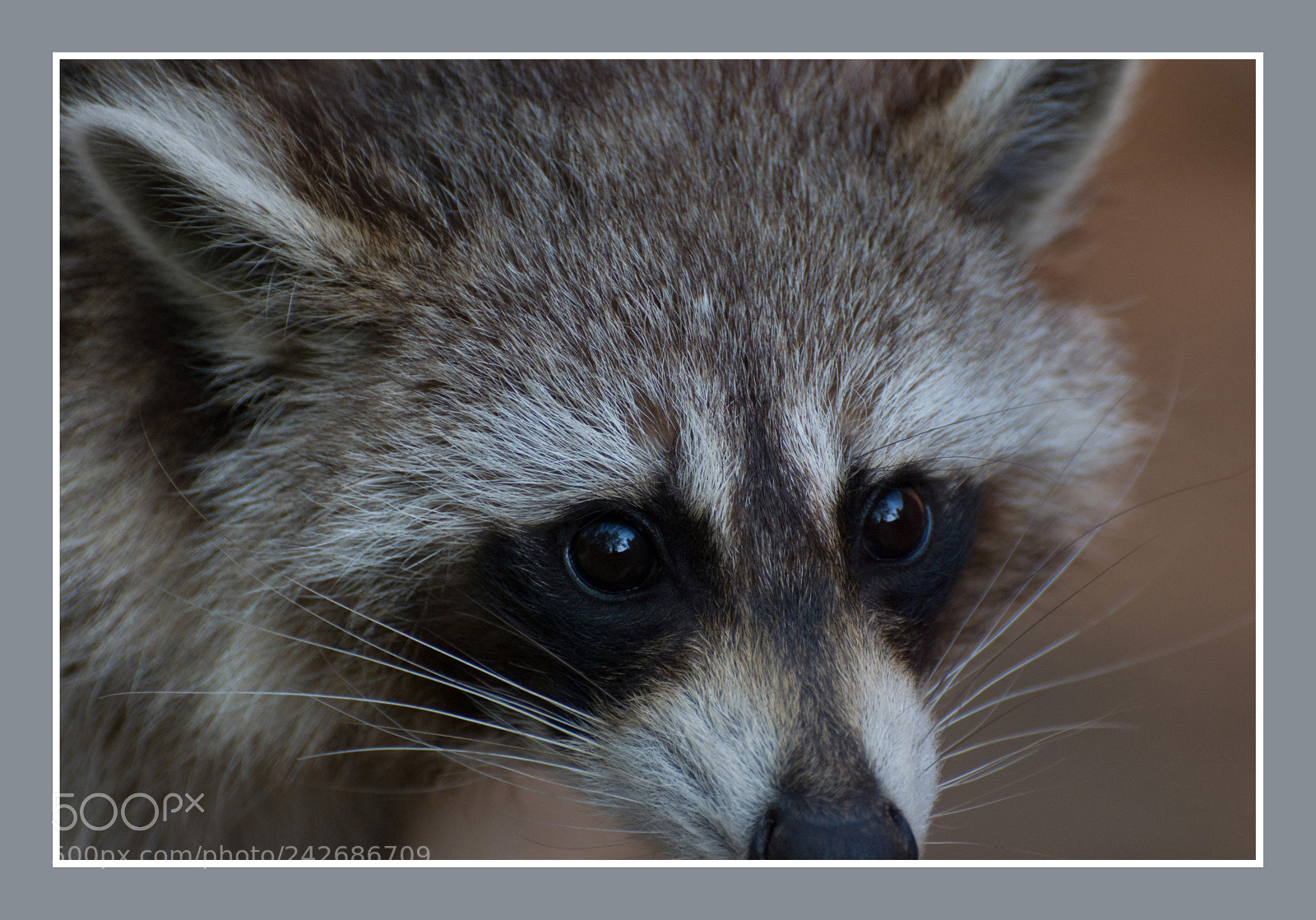 Nikon D60 sample photo. Untitled photography