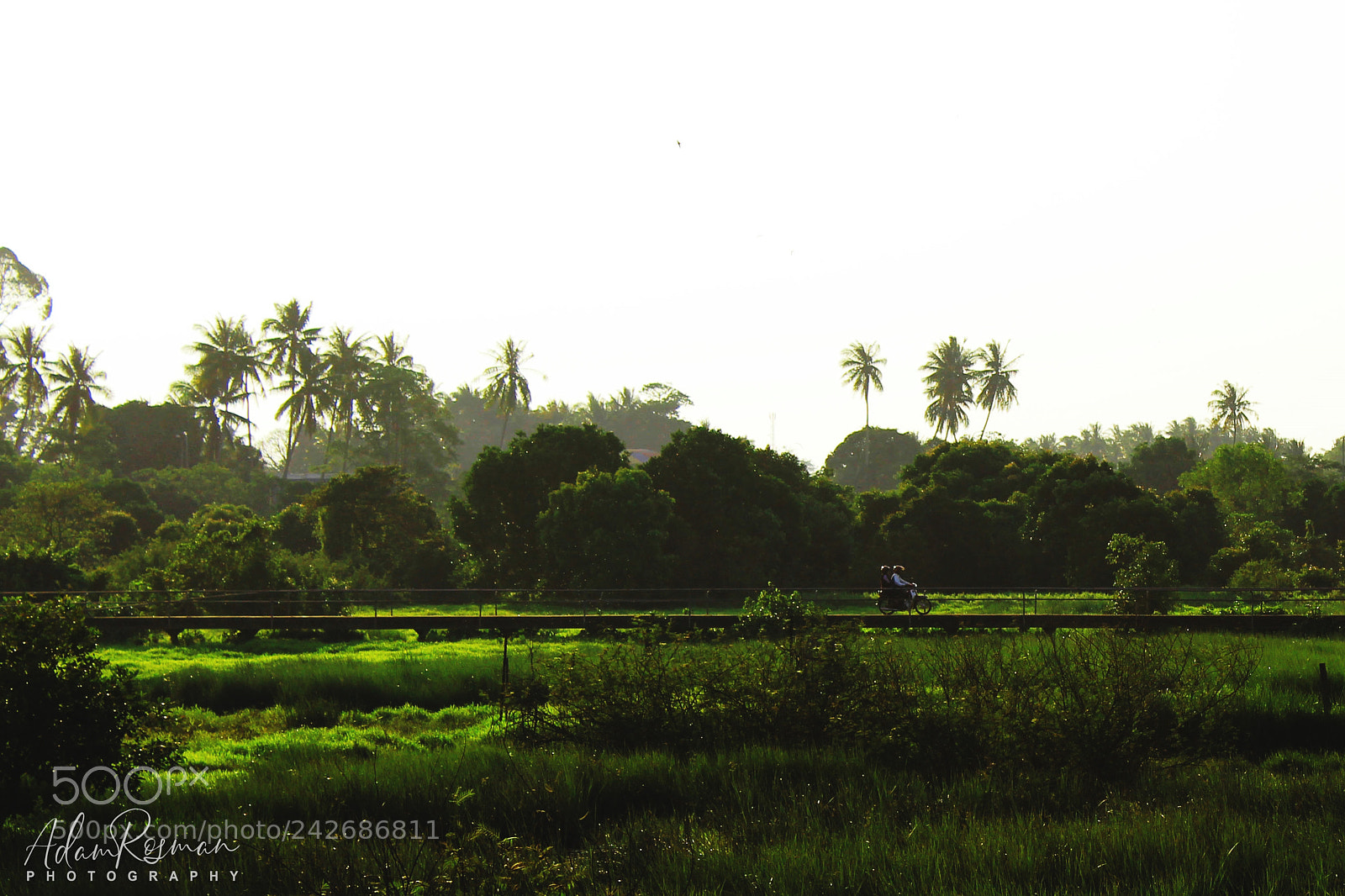 Canon EOS 1200D (EOS Rebel T5 / EOS Kiss X70 / EOS Hi) sample photo. Evening ride photography