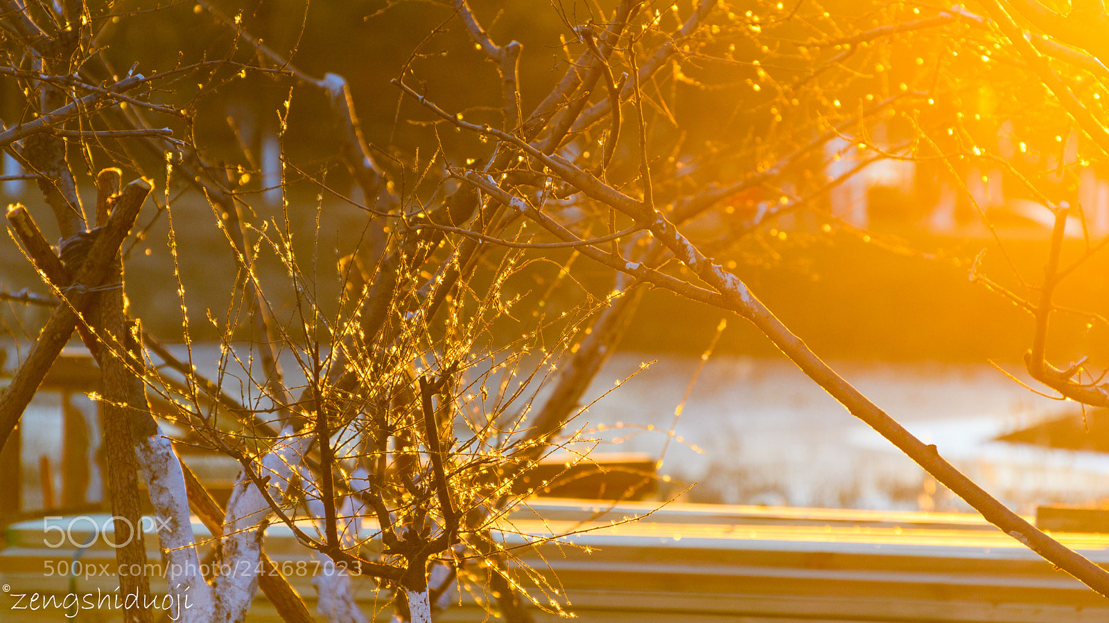 Nikon D500 sample photo. Dawn photography