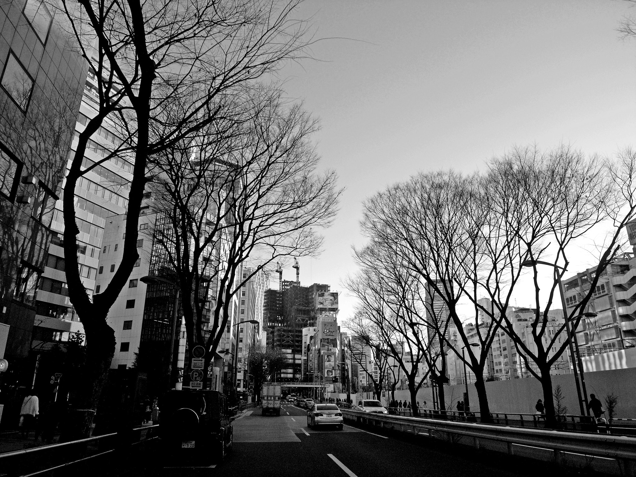 Ricoh Caplio GX100 sample photo. Winter photography
