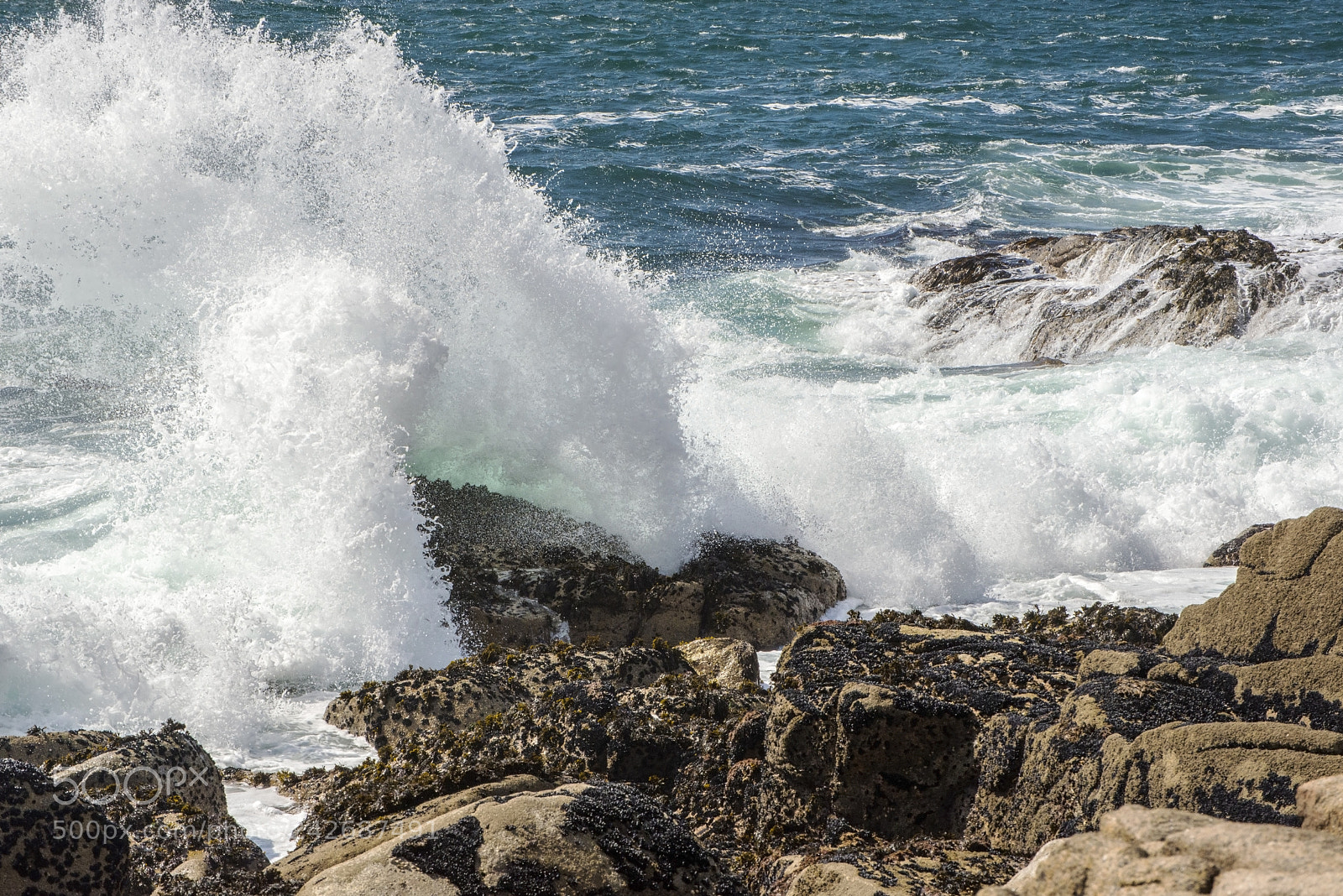 Nikon D600 sample photo. Crashing in! (1) photography
