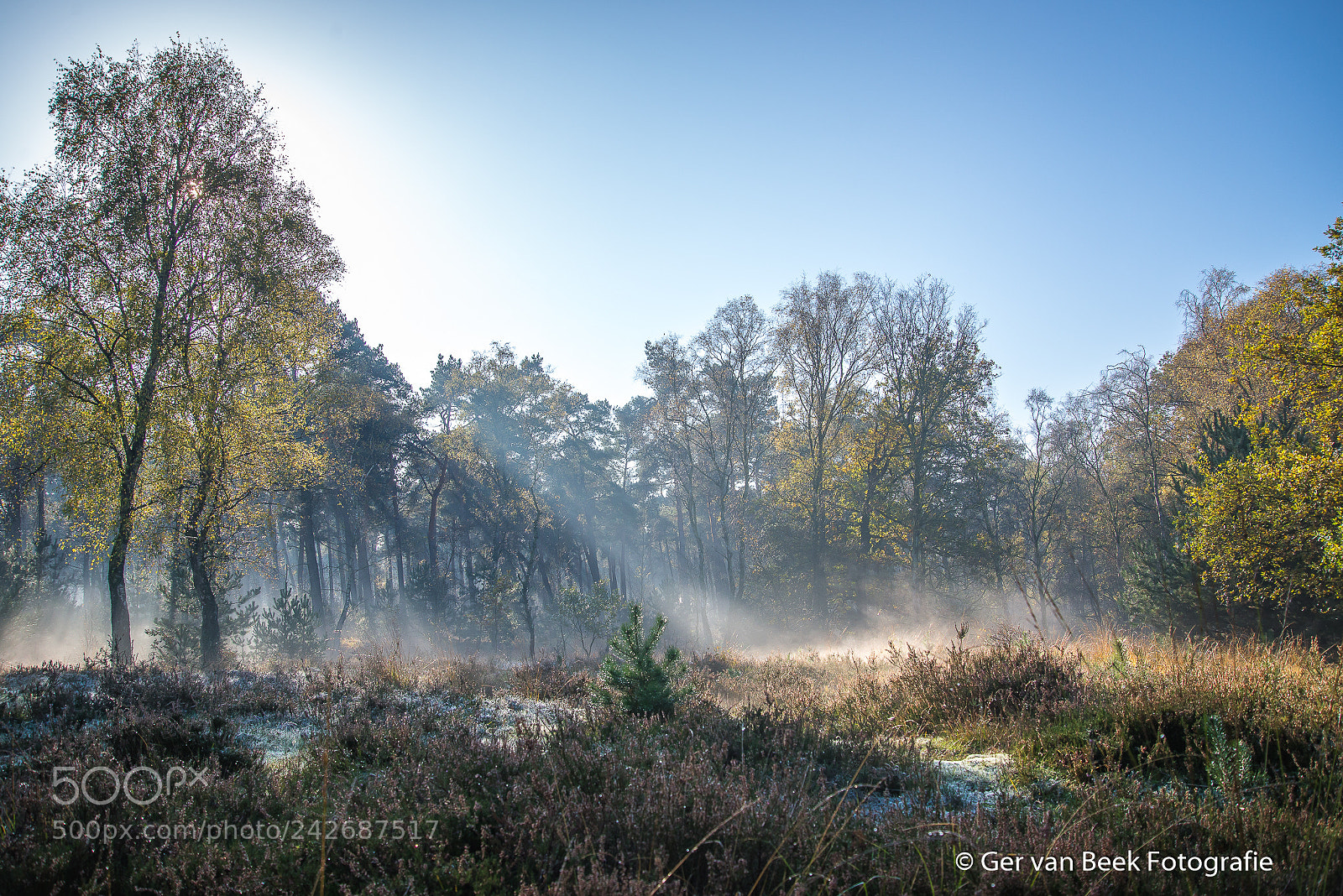 Nikon D610 sample photo. Kampina photography
