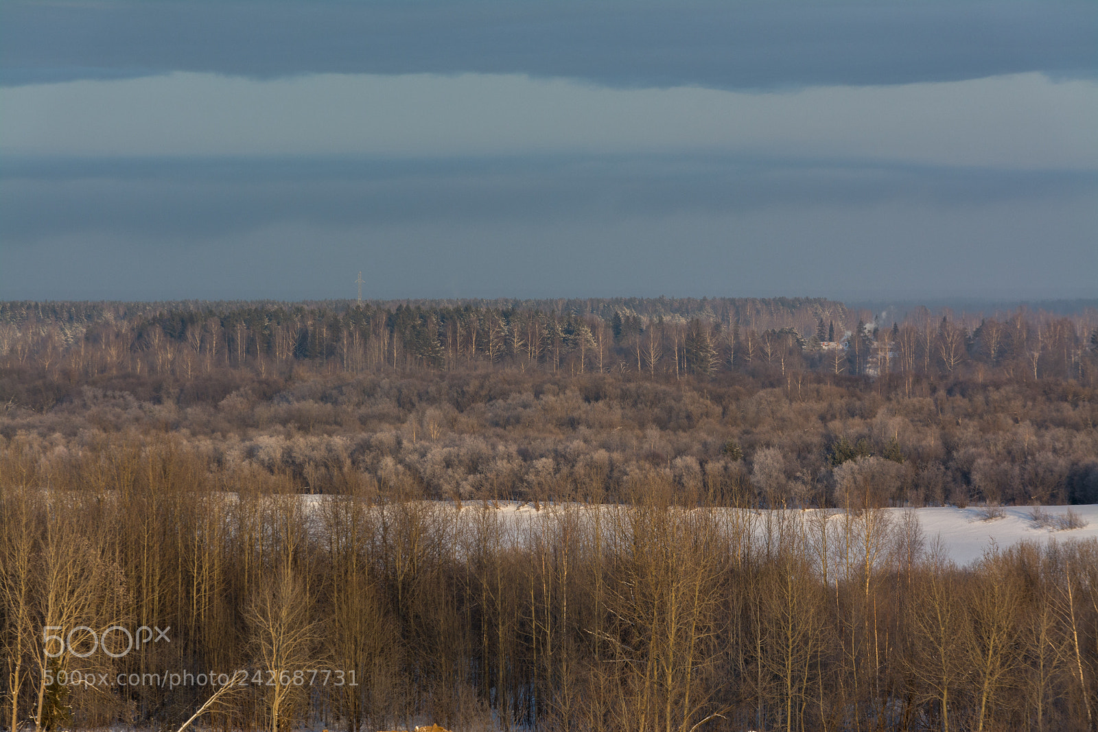 Nikon D7100 sample photo. Winter riverside forest at photography