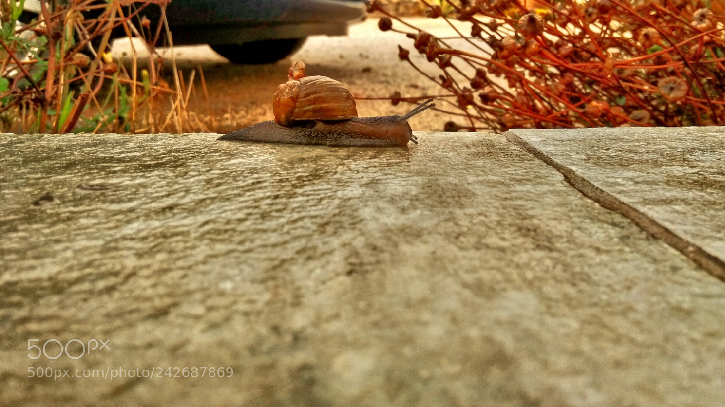 Xiaomi Redmi Note 4 sample photo. Slow photography