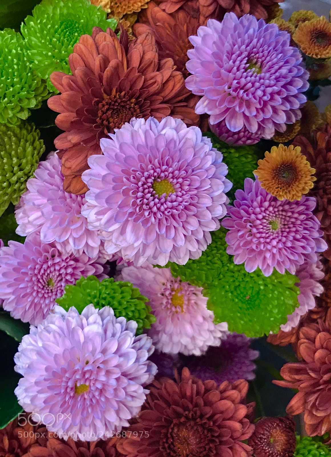 Apple iPhone 7 Plus sample photo. Starting photography
