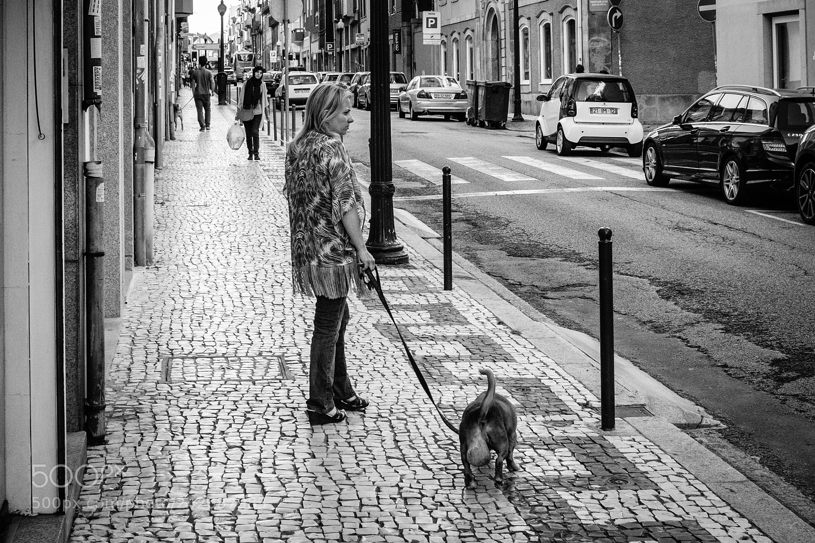 Fujifilm X100F sample photo. Doggie photography