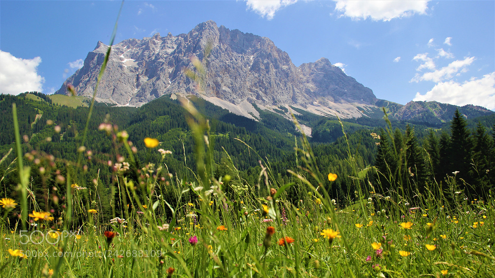 Canon EOS 60D sample photo. Wanderung füssen photography