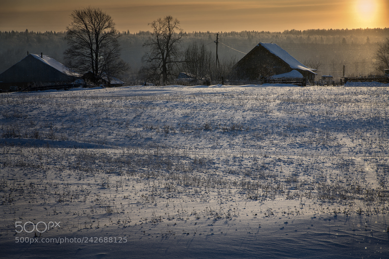 Nikon D850 sample photo. Winter sunset in a photography