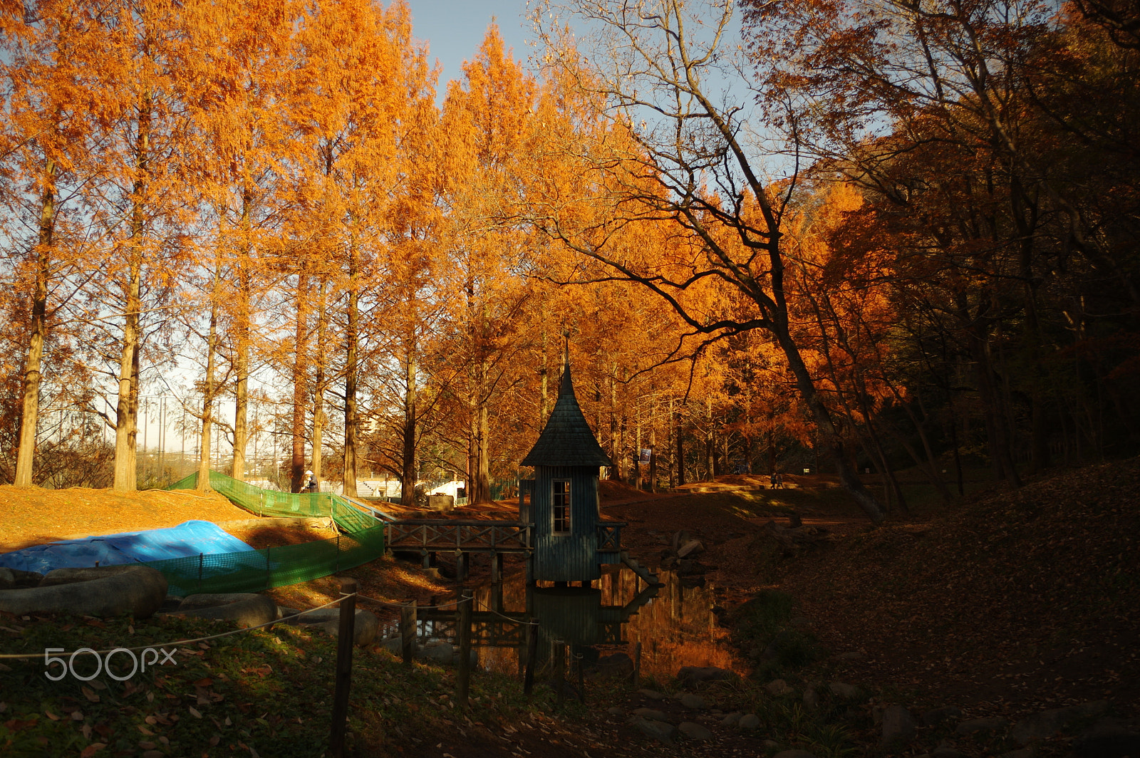 smc PENTAX-DA L 18-55mm F3.5-5.6 sample photo. Moomin valley photography