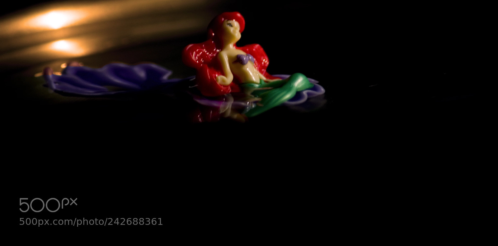 Nikon D5100 sample photo. Mermaid in the dusk photography