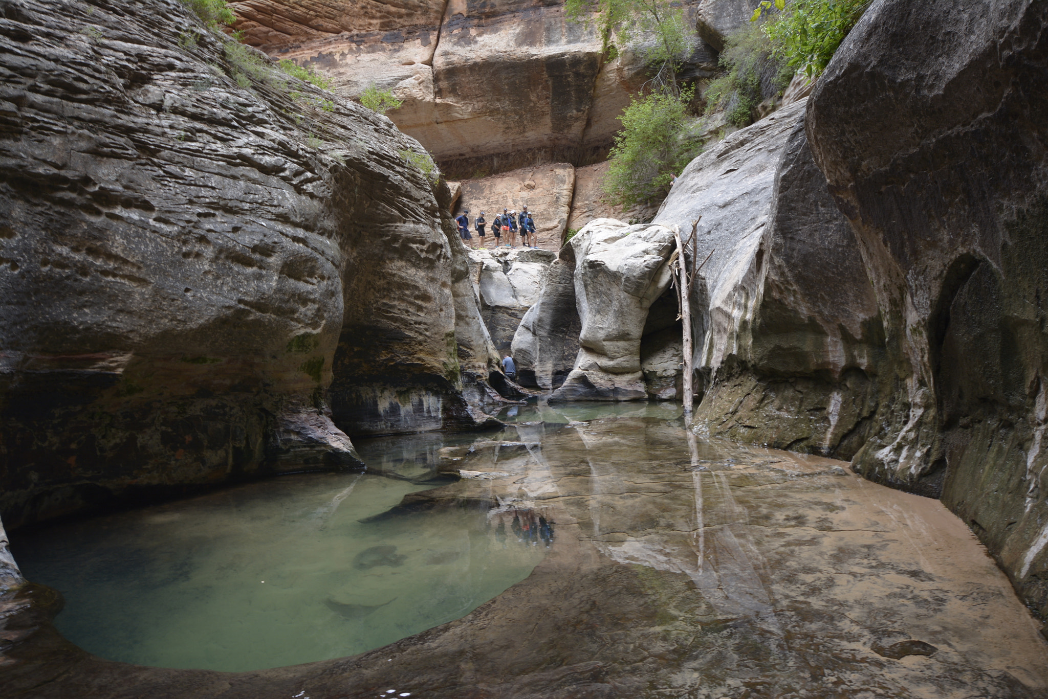 Nikon D7100 sample photo. Zion subway hike photography