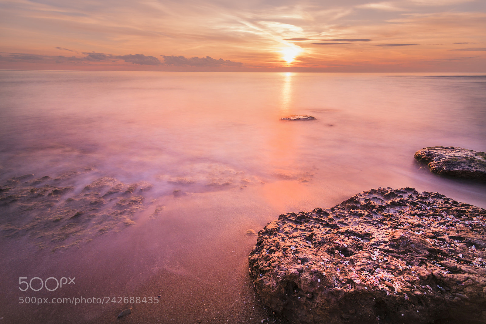 Nikon D810 sample photo. Another sunset photography