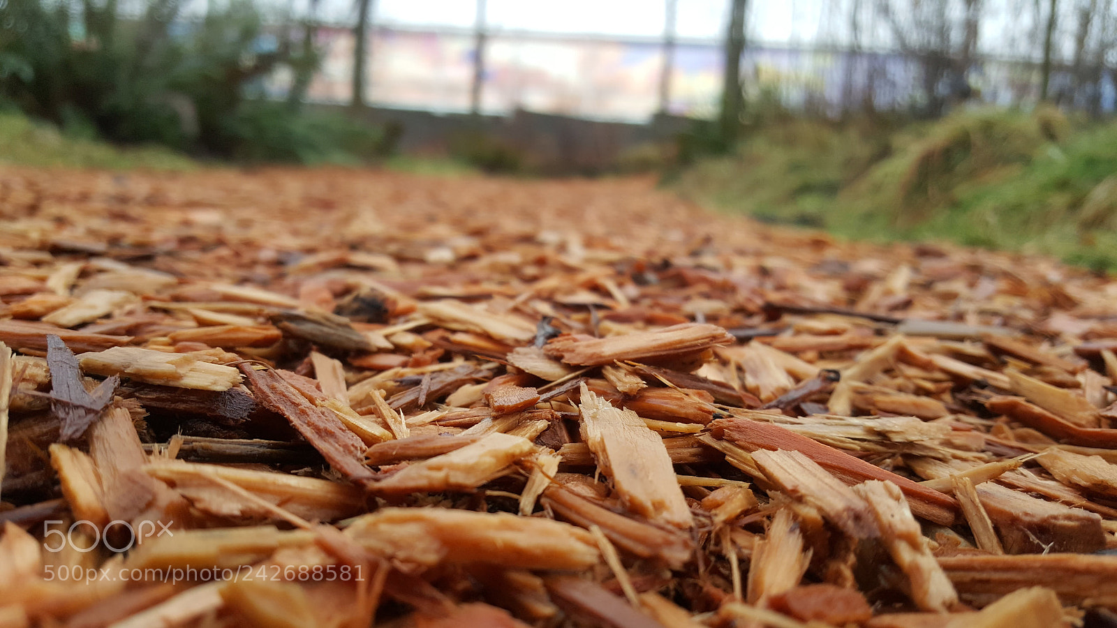 Samsung Galaxy Note5 sample photo. Untitled photography