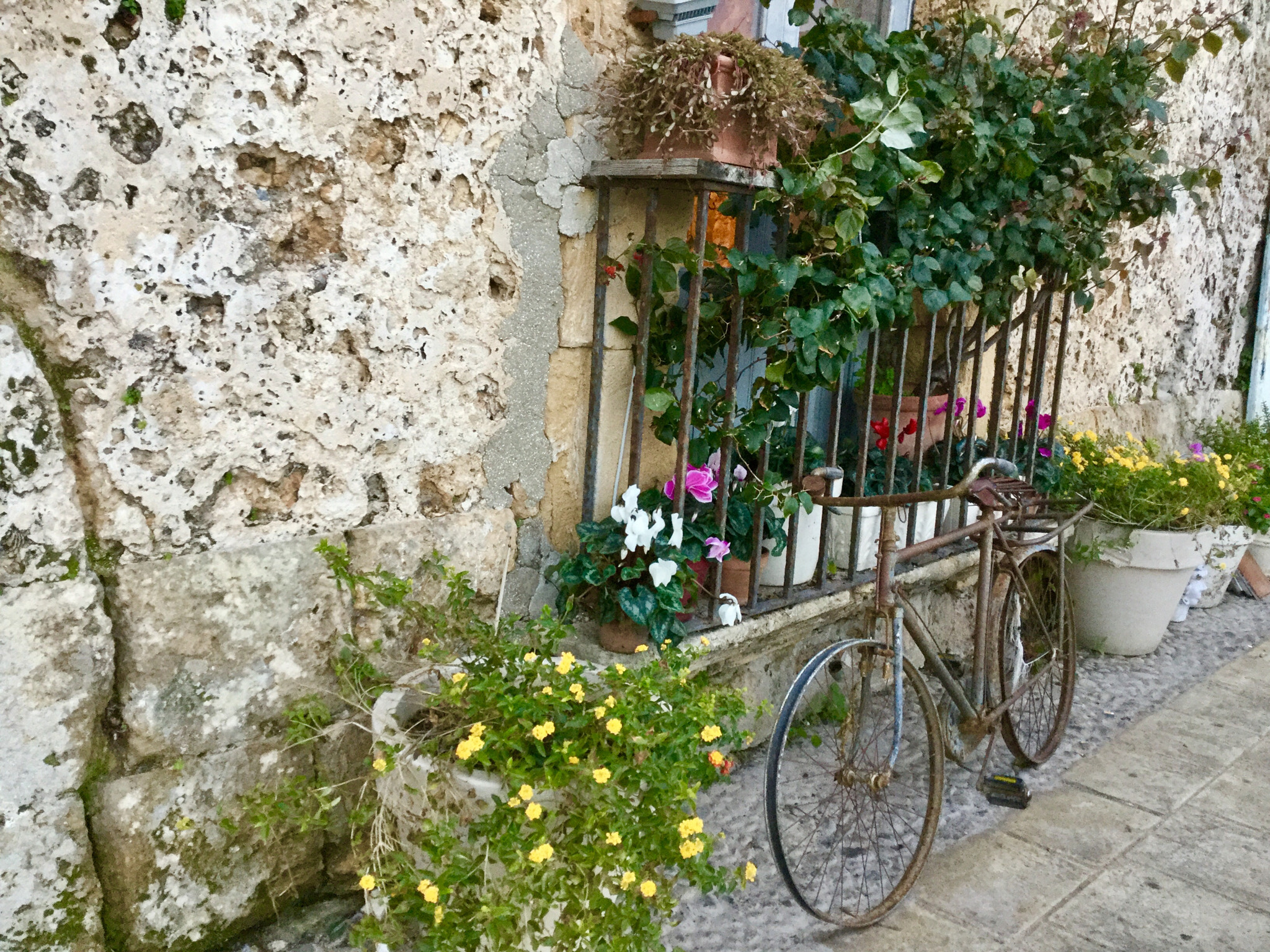Apple iPad mini 4 sample photo. Old bike photography
